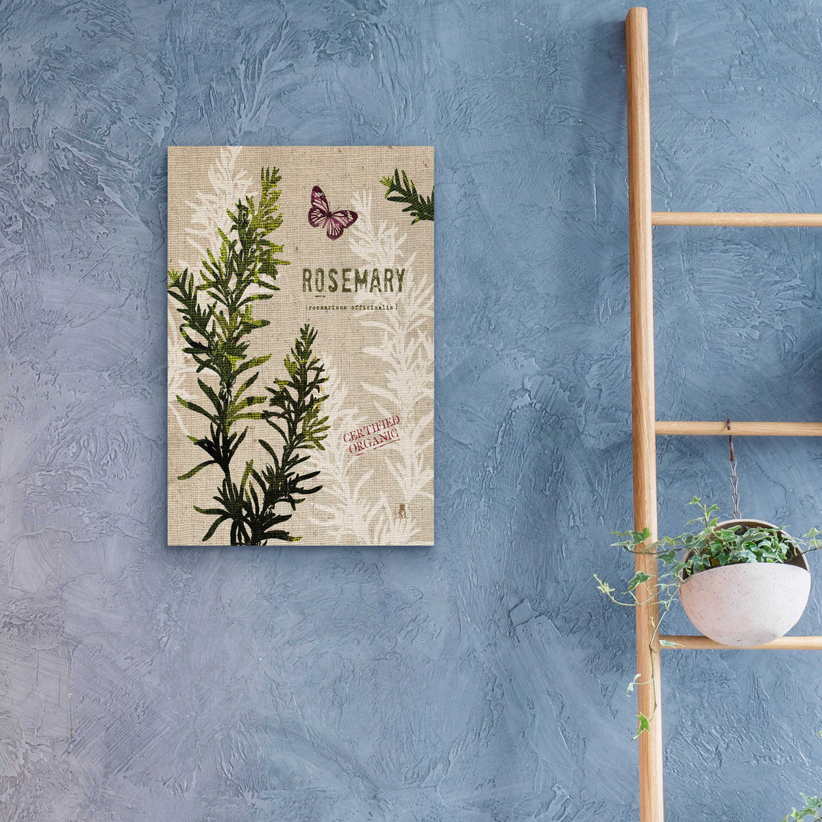 Epic Art 'Organic Rosemary' by Studio Mousseau, Acrylic Glass Wall Art,16x24