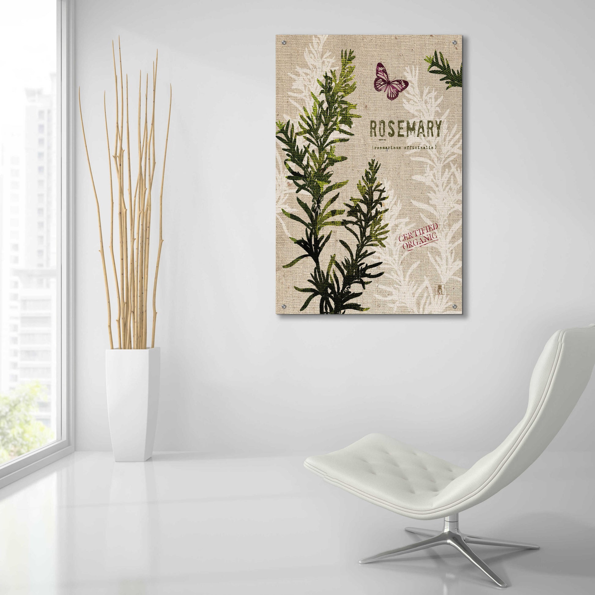 Epic Art 'Organic Rosemary' by Studio Mousseau, Acrylic Glass Wall Art,24x36