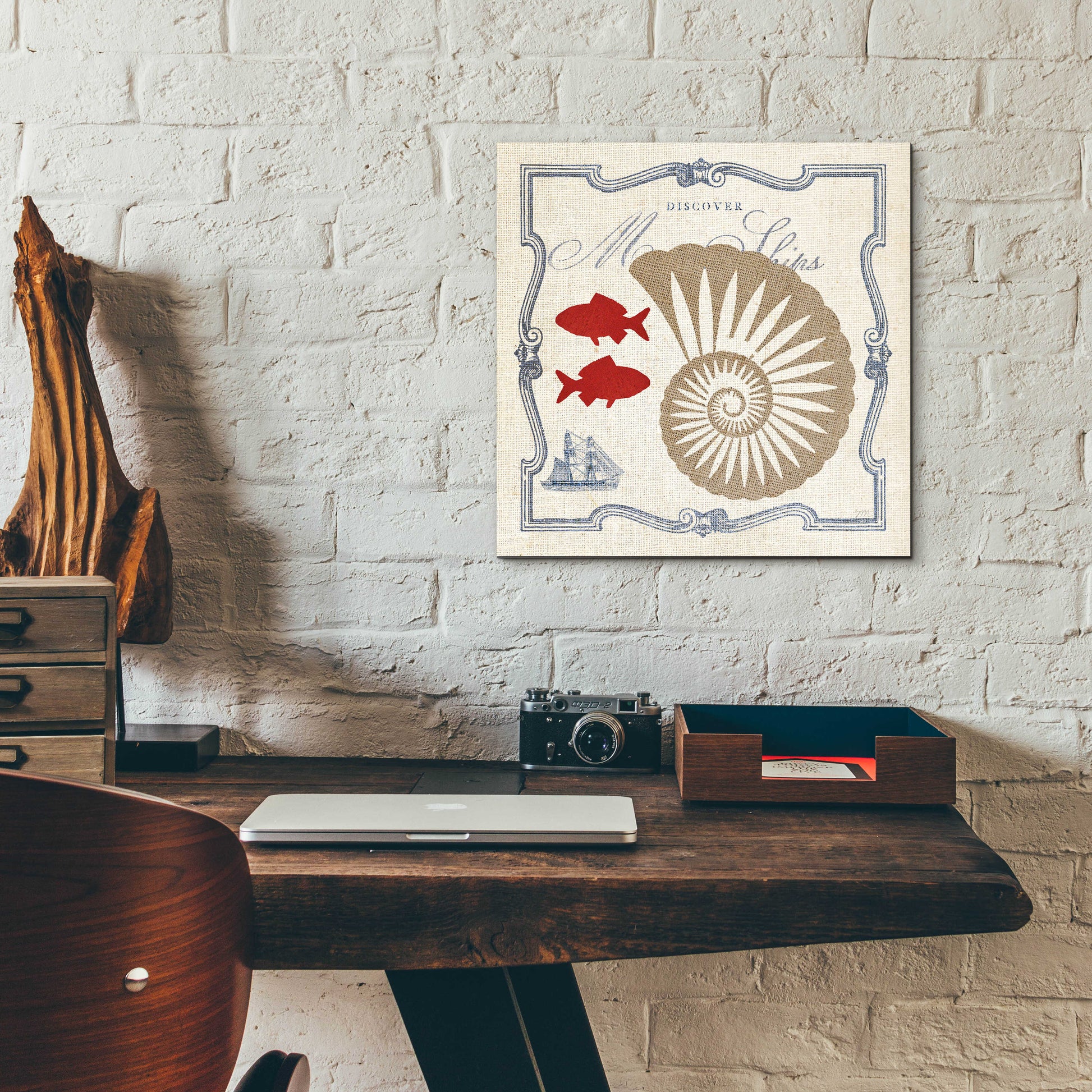 Epic Art 'Pacific Nautilus' by Studio Mousseau, Acrylic Glass Wall Art,12x12