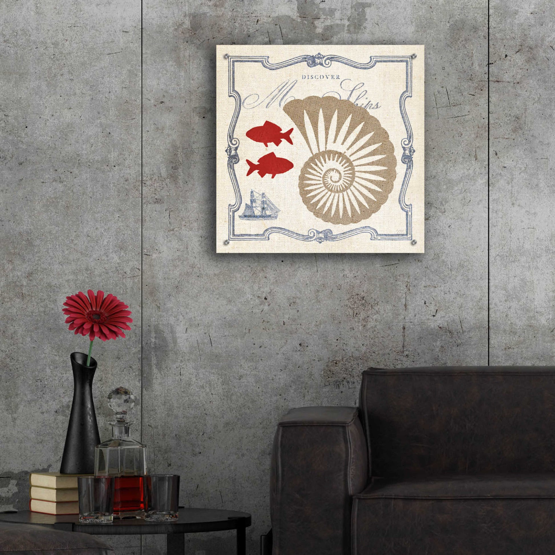 Epic Art 'Pacific Nautilus' by Studio Mousseau, Acrylic Glass Wall Art,24x24