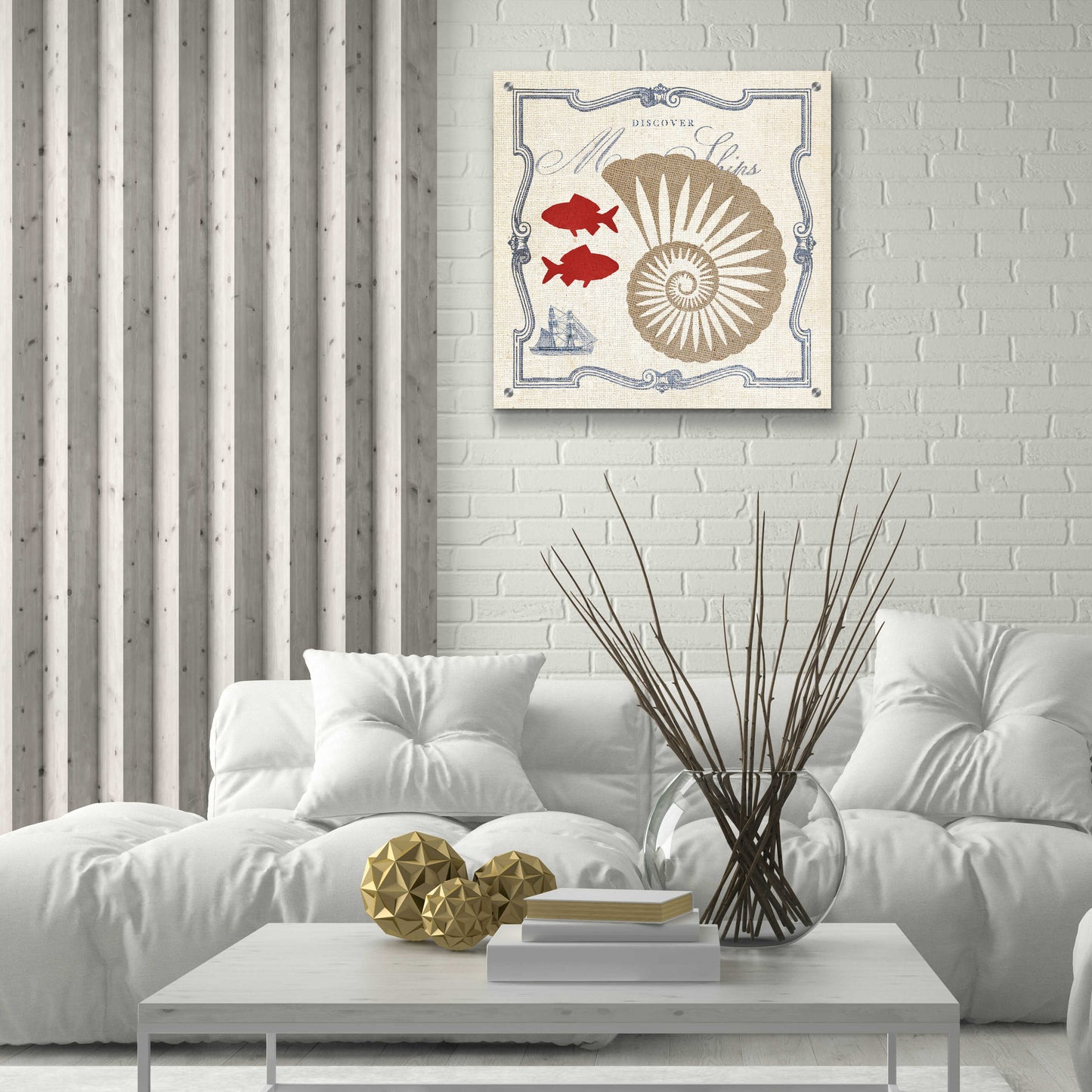 Epic Art 'Pacific Nautilus' by Studio Mousseau, Acrylic Glass Wall Art,24x24