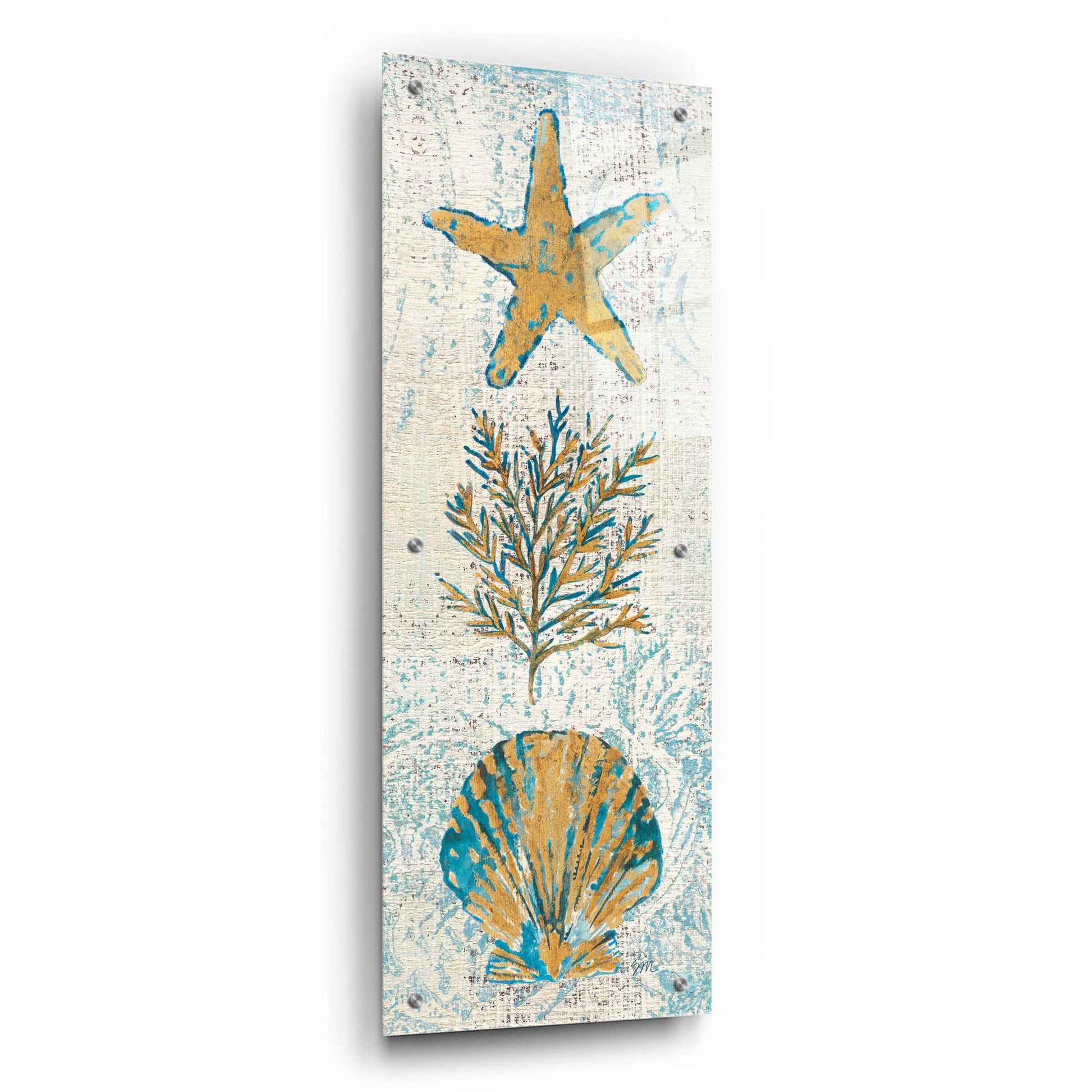 Epic Art 'Coastal Beauty Panel II' by Studio Mousseau, Acrylic Glass Wall Art,12x36