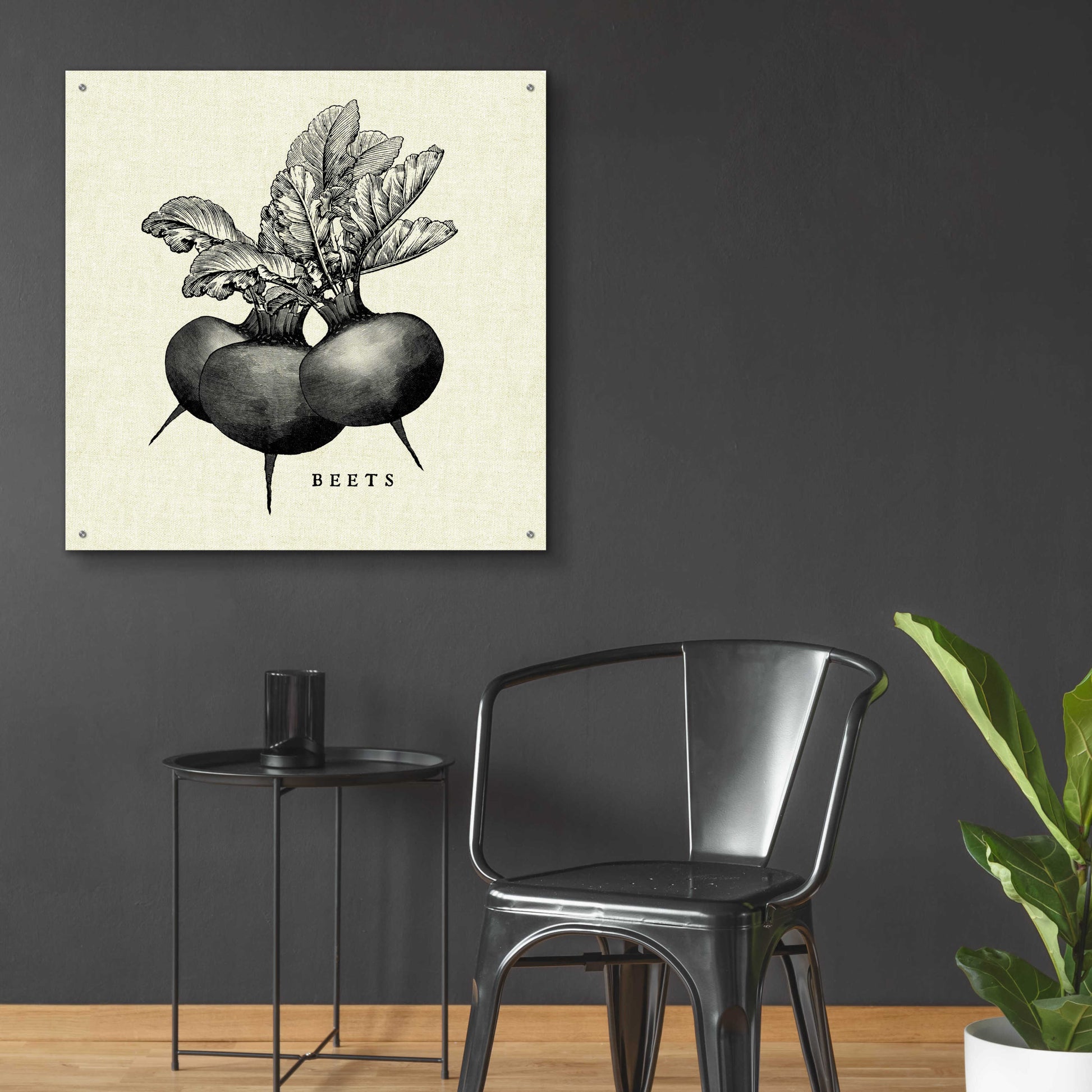 Epic Art 'Linen Vegetable BW Sketch Beets' by Studio Mousseau, Acrylic Glass Wall Art,36x36