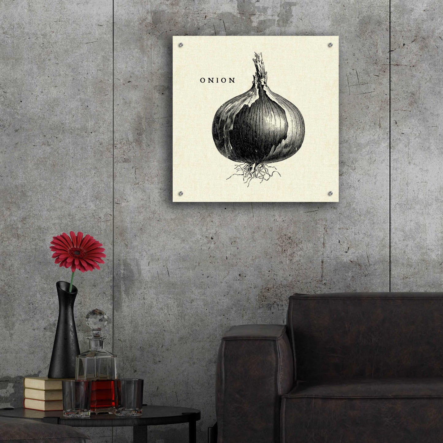 Epic Art 'Linen Vegetable BW Sketch Onion' by Studio Mousseau, Acrylic Glass Wall Art,24x24