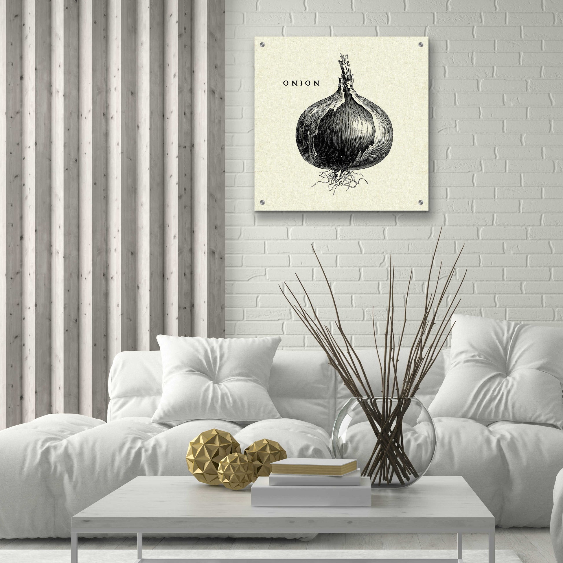 Epic Art 'Linen Vegetable BW Sketch Onion' by Studio Mousseau, Acrylic Glass Wall Art,24x24