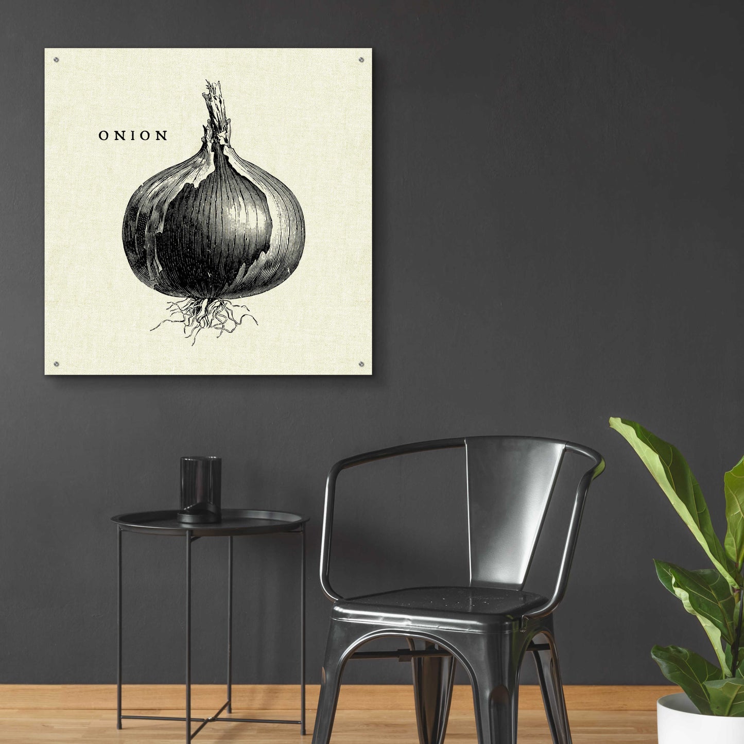 Epic Art 'Linen Vegetable BW Sketch Onion' by Studio Mousseau, Acrylic Glass Wall Art,36x36