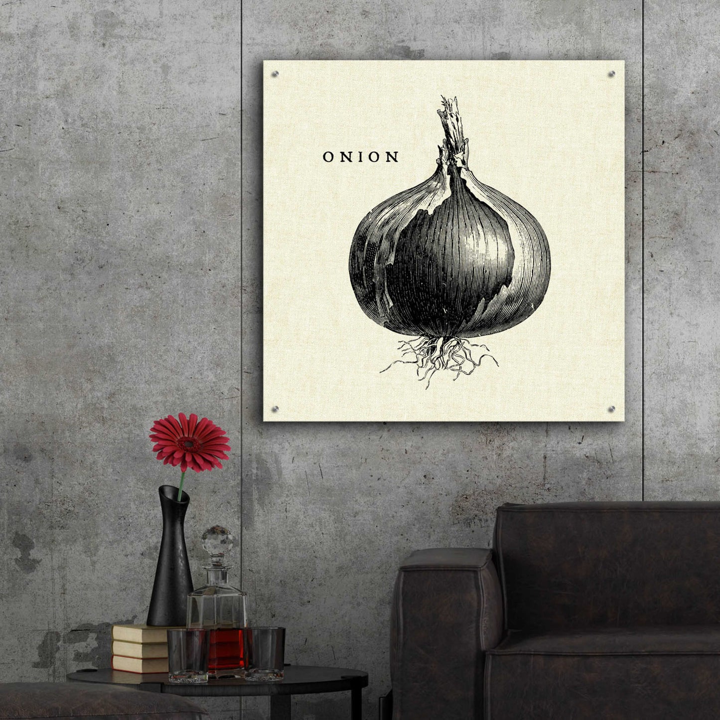 Epic Art 'Linen Vegetable BW Sketch Onion' by Studio Mousseau, Acrylic Glass Wall Art,36x36