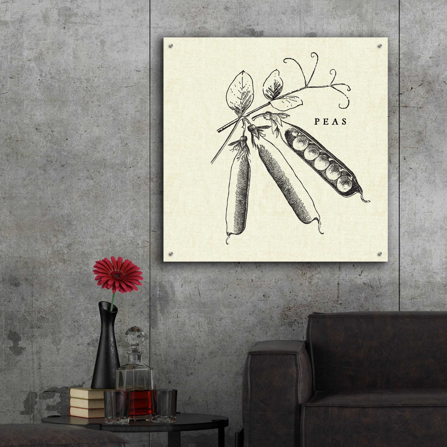 Epic Art 'Linen Vegetable BW Sketch Peas' by Studio Mousseau, Acrylic Glass Wall Art,36x36