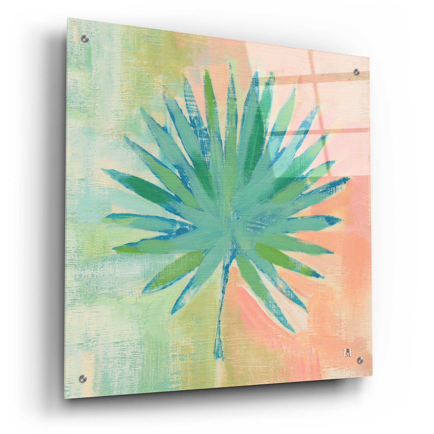 Epic Art 'Beach Cove Leaves II' by Studio Mousseau, Acrylic Glass Wall Art,24x24