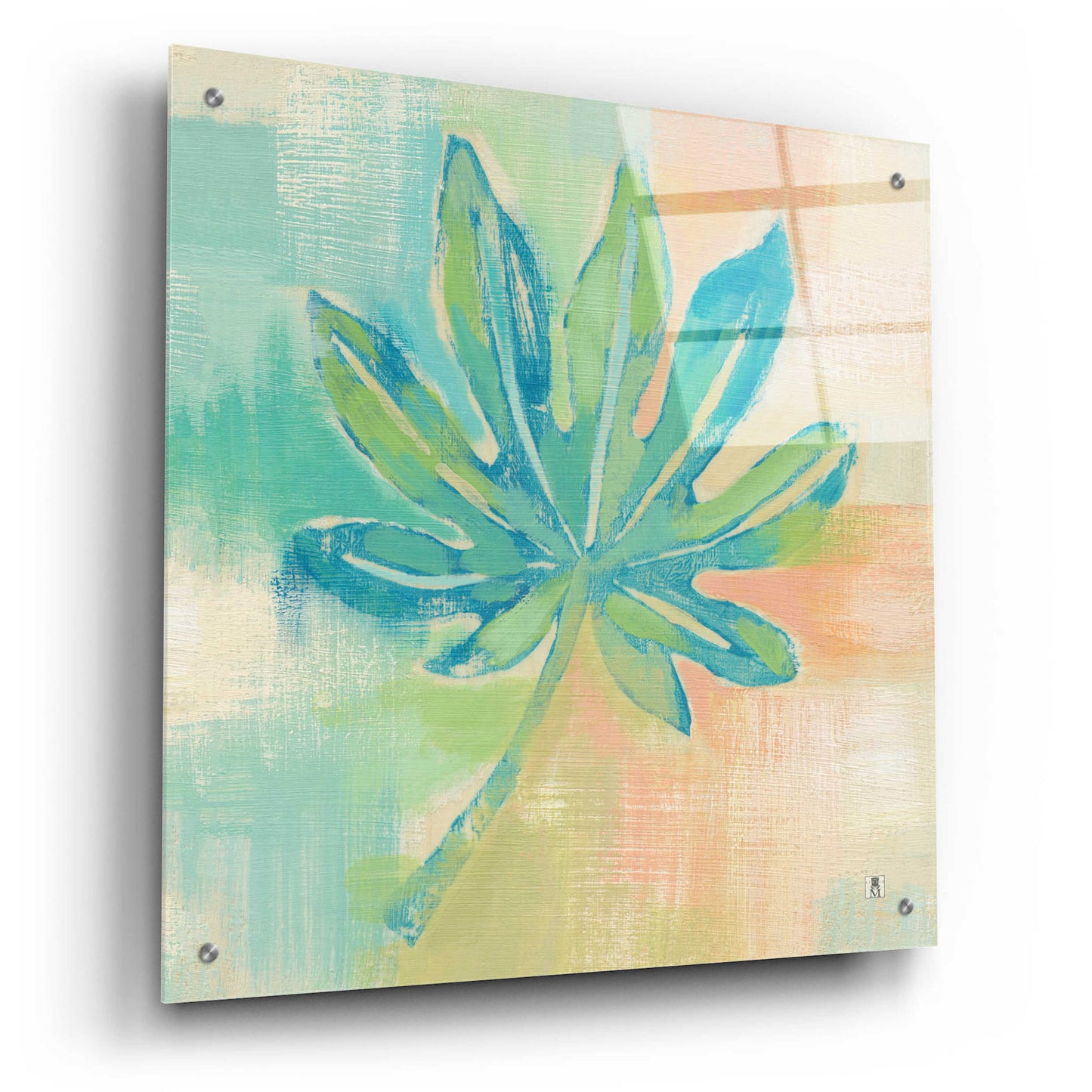 Epic Art 'Beach Cove Leaves IV' by Studio Mousseau, Acrylic Glass Wall Art,24x24