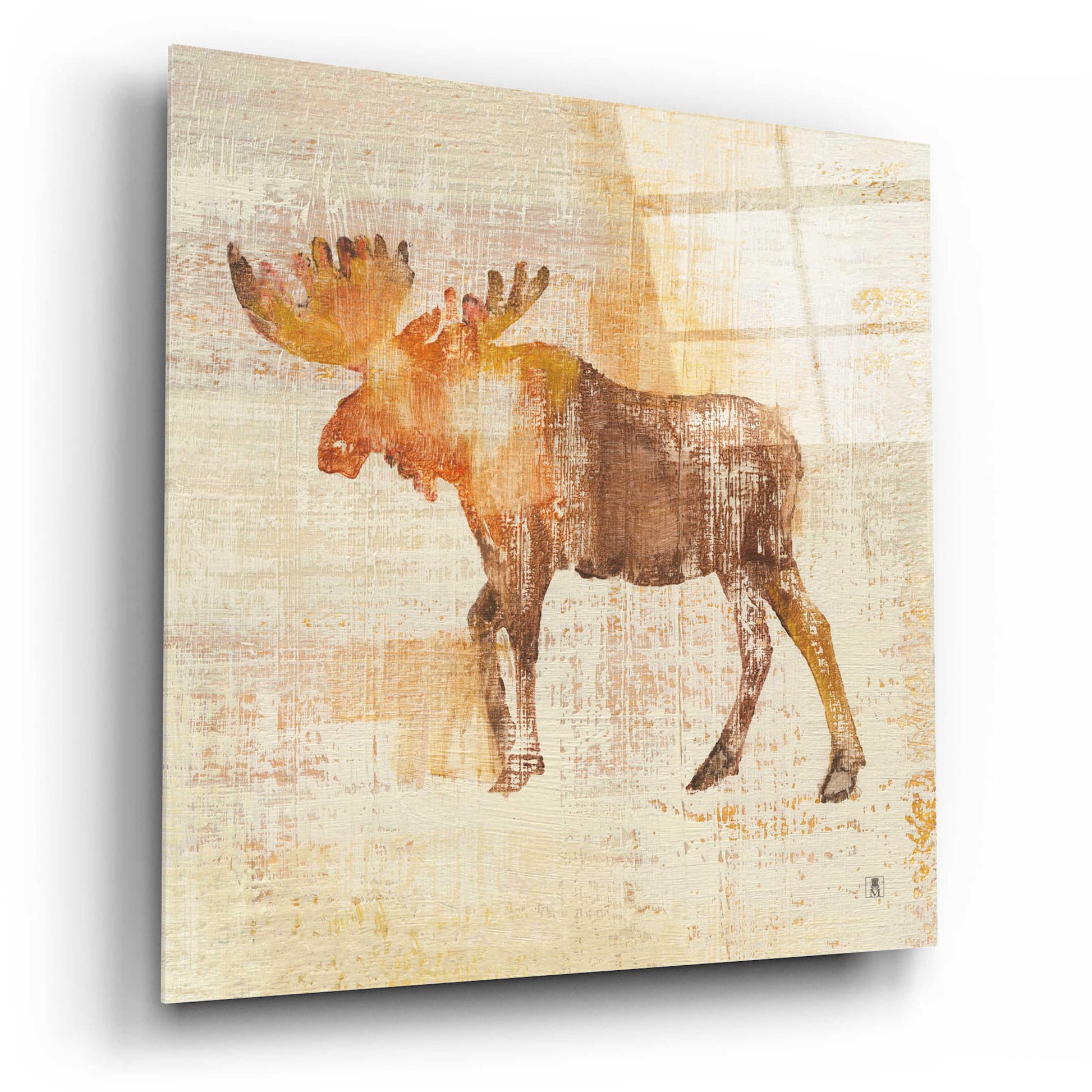 Epic Art 'Moose Study' by Studio Mousseau, Acrylic Glass Wall Art,12x12