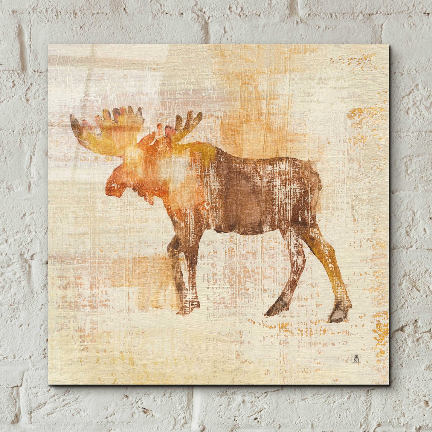 Epic Art 'Moose Study' by Studio Mousseau, Acrylic Glass Wall Art,12x12