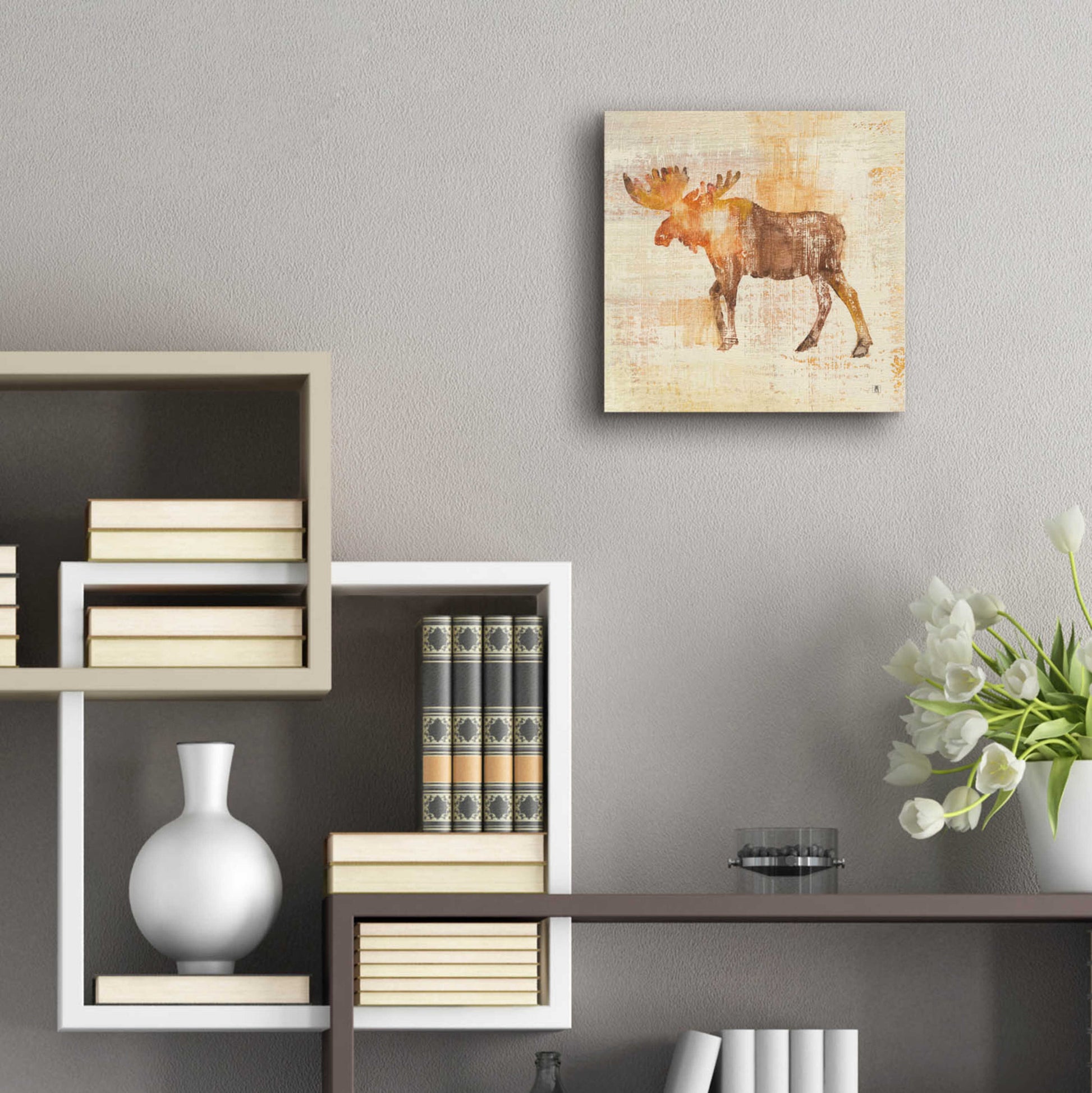 Epic Art 'Moose Study' by Studio Mousseau, Acrylic Glass Wall Art,12x12