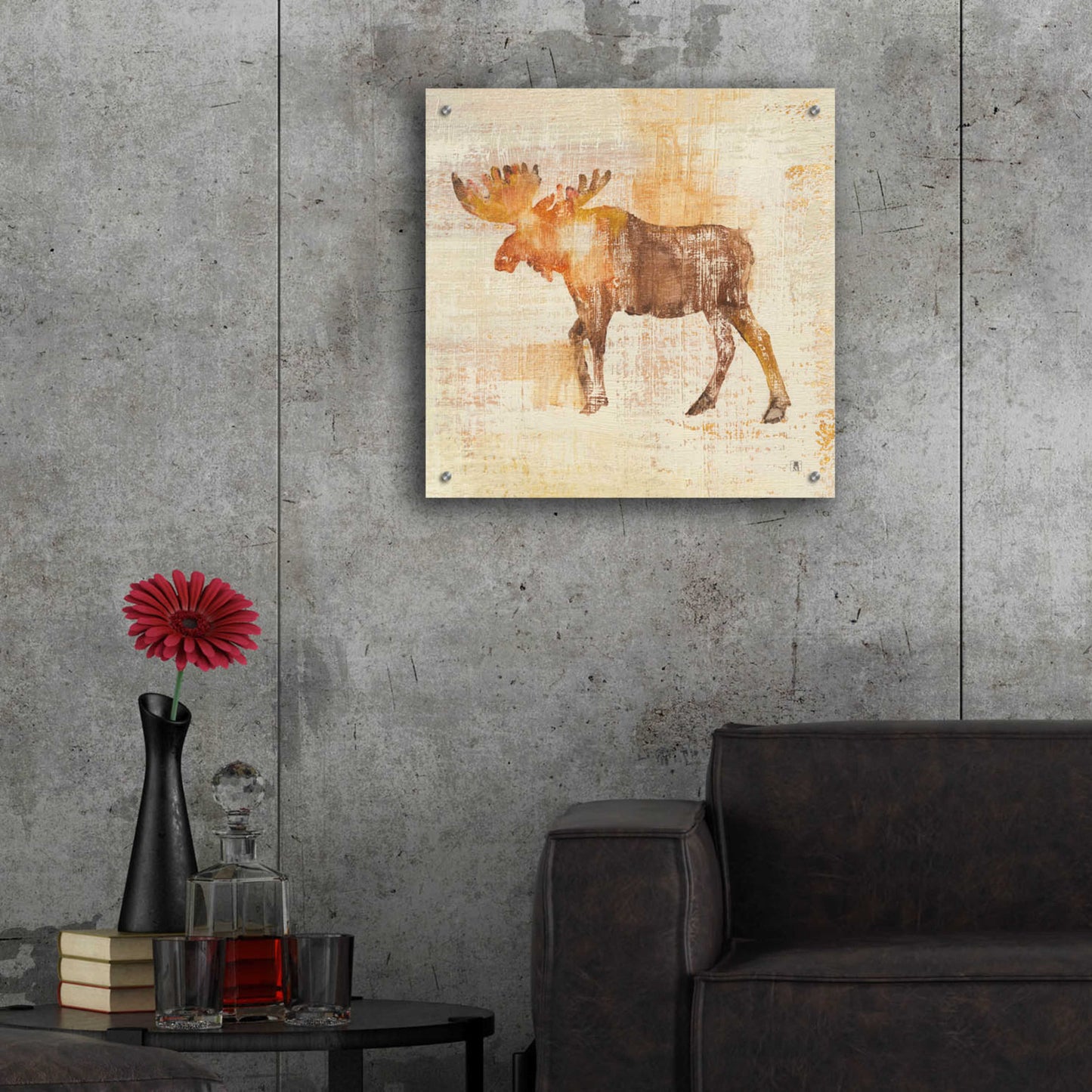 Epic Art 'Moose Study' by Studio Mousseau, Acrylic Glass Wall Art,24x24