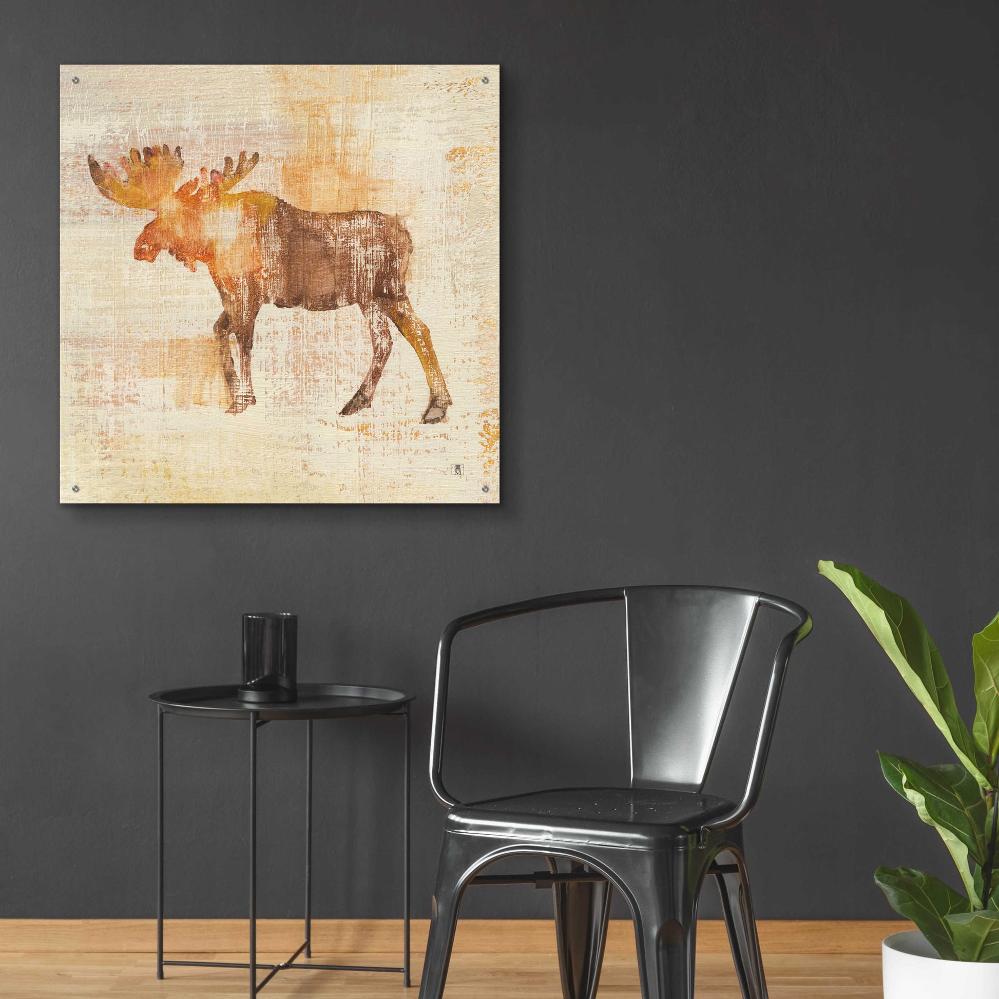 Epic Art 'Moose Study' by Studio Mousseau, Acrylic Glass Wall Art,36x36