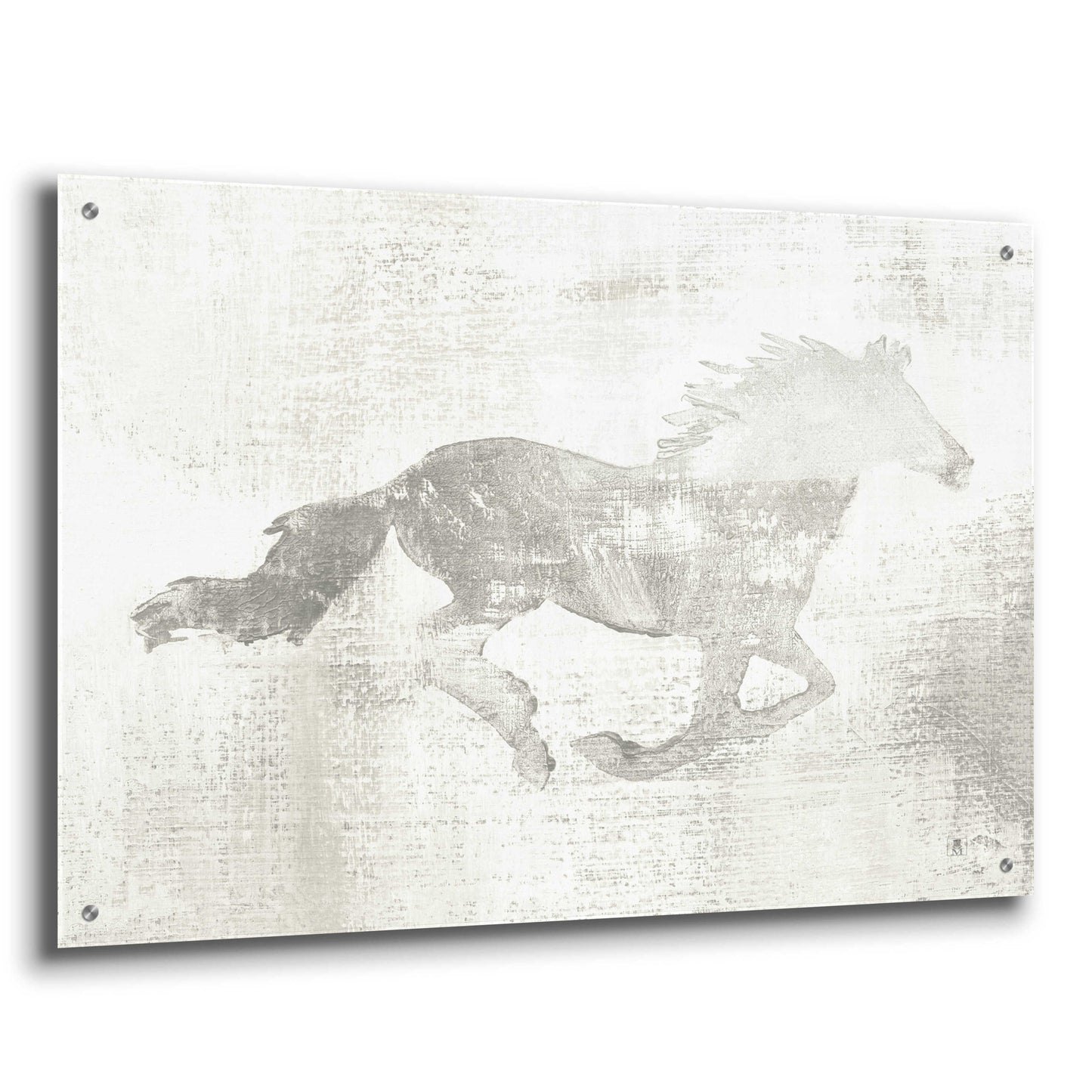 Epic Art 'Mustang Study Neutral' by Studio Mousseau, Acrylic Glass Wall Art,36x24