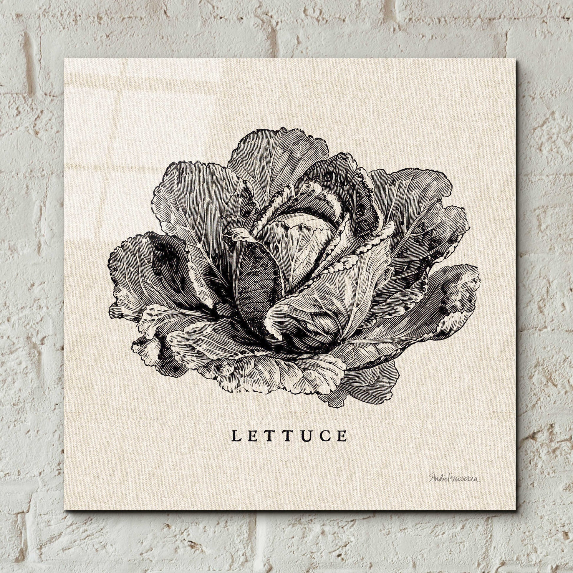 Epic Art 'Burlap Vegetable BW Sketch Lettuce' by Studio Mousseau, Acrylic Glass Wall Art,12x12