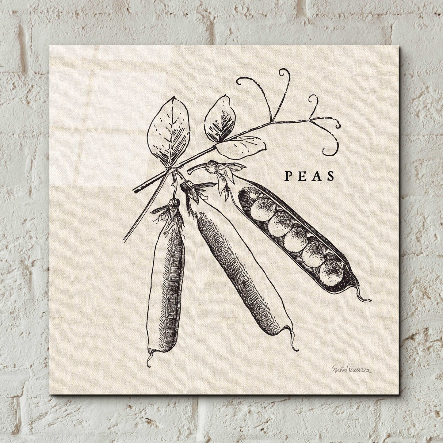 Epic Art 'Burlap Vegetable BW Sketch Peas' by Studio Mousseau, Acrylic Glass Wall Art,12x12