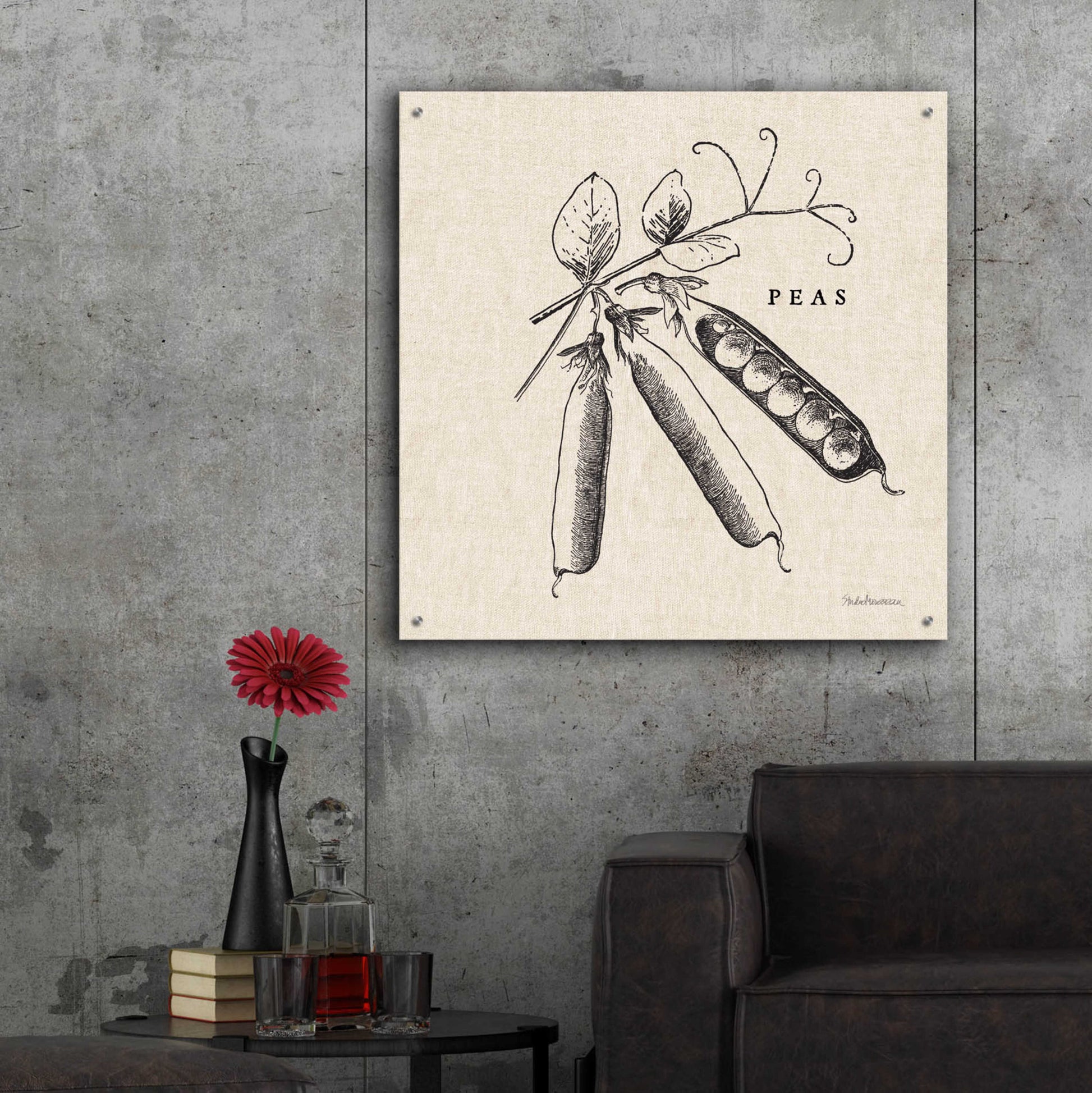 Epic Art 'Burlap Vegetable BW Sketch Peas' by Studio Mousseau, Acrylic Glass Wall Art,36x36