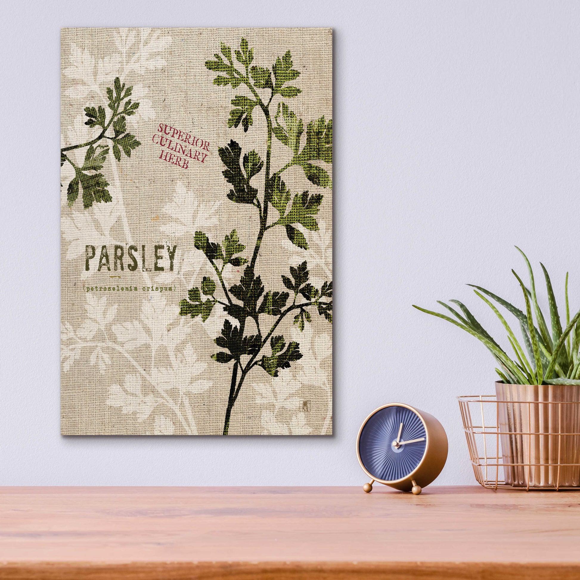 Epic Art 'Organic Parsley - Superior Culinary Herb' by Studio Mousseau, Acrylic Glass Wall Art,12x16