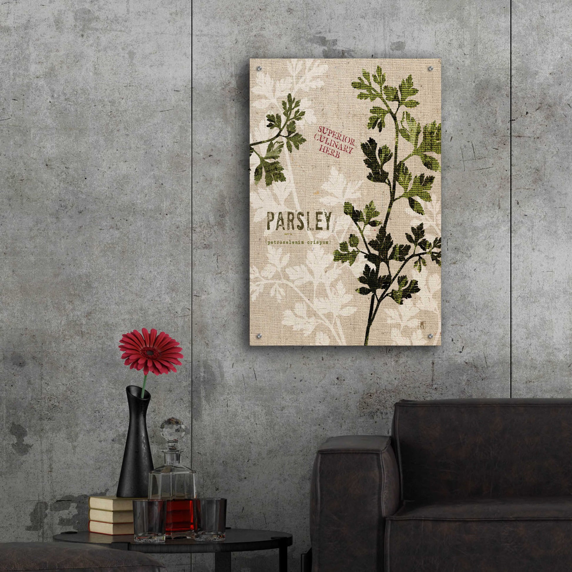 Epic Art 'Organic Parsley - Superior Culinary Herb' by Studio Mousseau, Acrylic Glass Wall Art,24x36