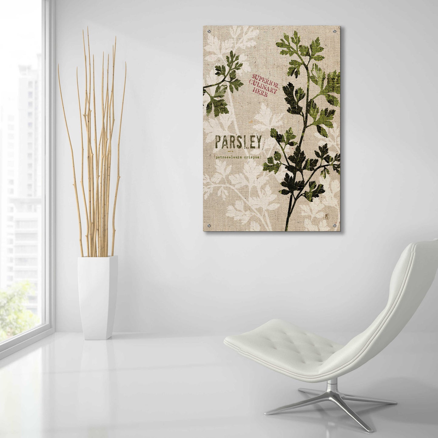 Epic Art 'Organic Parsley - Superior Culinary Herb' by Studio Mousseau, Acrylic Glass Wall Art,24x36