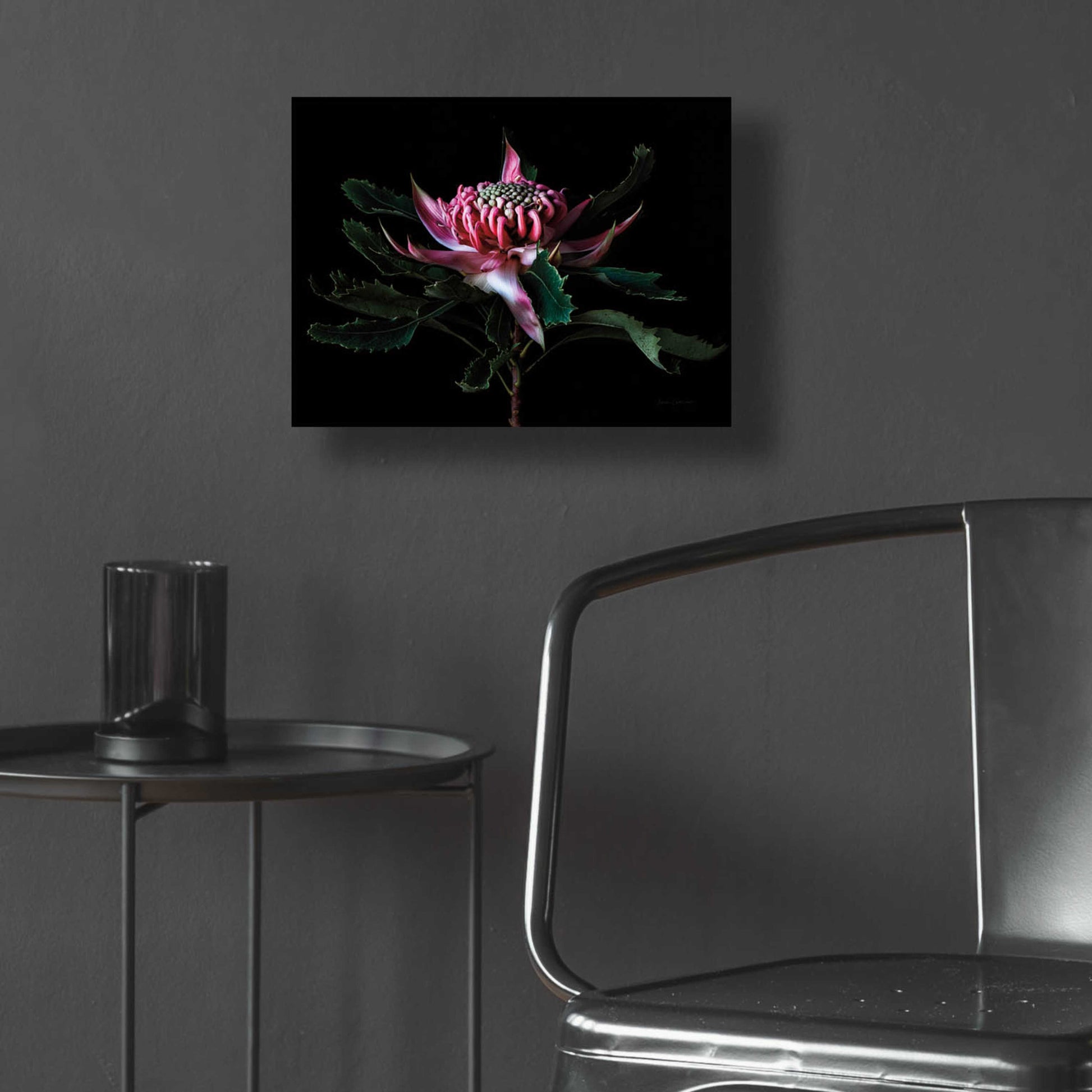 Epic Art 'Salmon Waratah I' by Elise Catterall, Acrylic Glass Wall Art,16x12