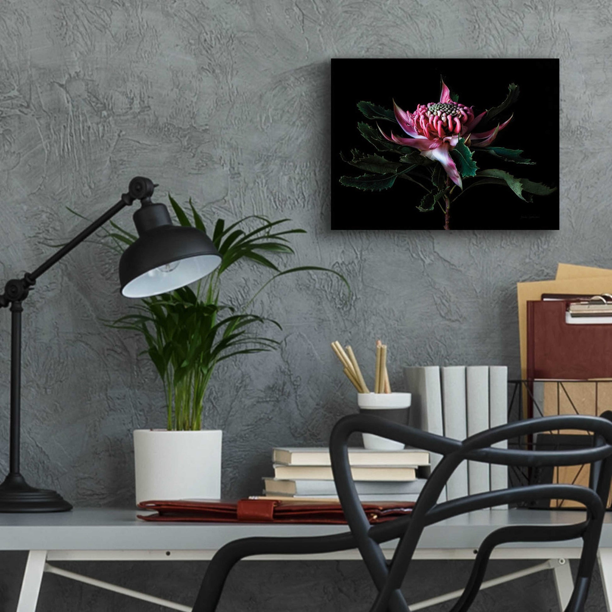 Epic Art 'Salmon Waratah I' by Elise Catterall, Acrylic Glass Wall Art,16x12