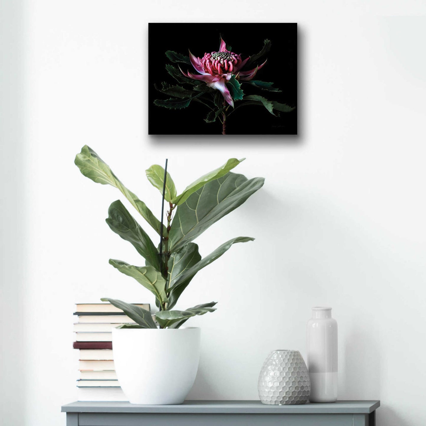 Epic Art 'Salmon Waratah I' by Elise Catterall, Acrylic Glass Wall Art,16x12