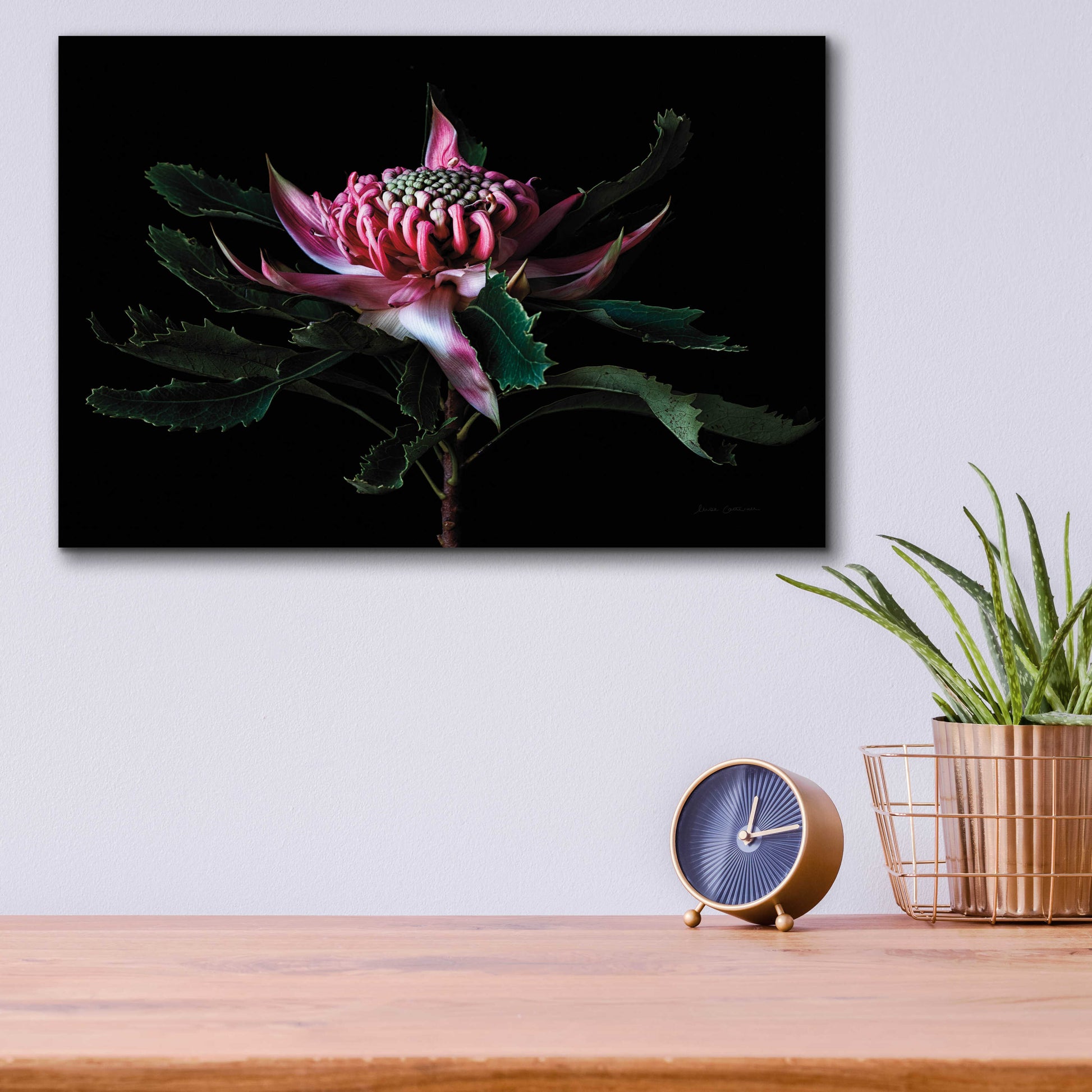 Epic Art 'Salmon Waratah I' by Elise Catterall, Acrylic Glass Wall Art,16x12