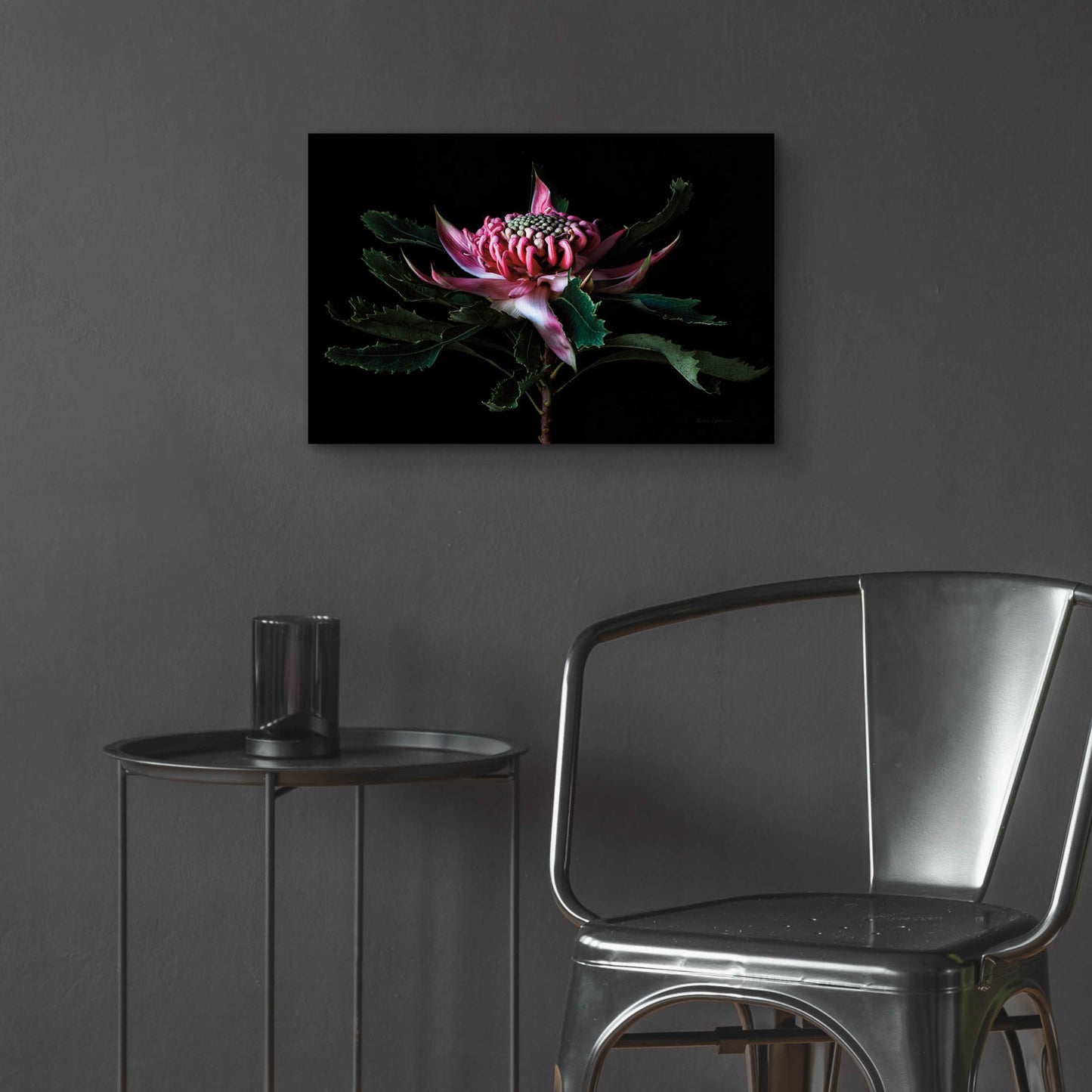 Epic Art 'Salmon Waratah I' by Elise Catterall, Acrylic Glass Wall Art,24x16