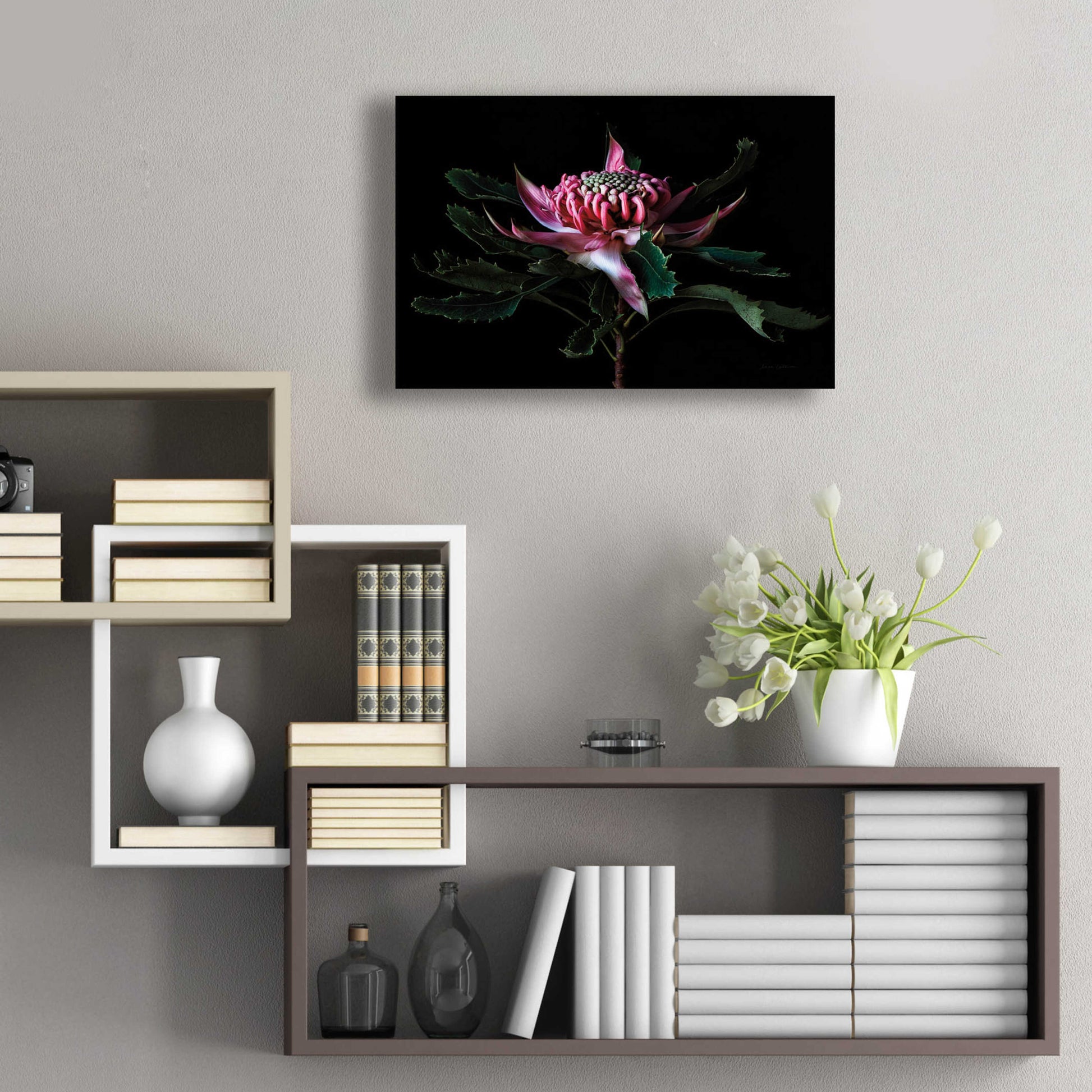 Epic Art 'Salmon Waratah I' by Elise Catterall, Acrylic Glass Wall Art,24x16