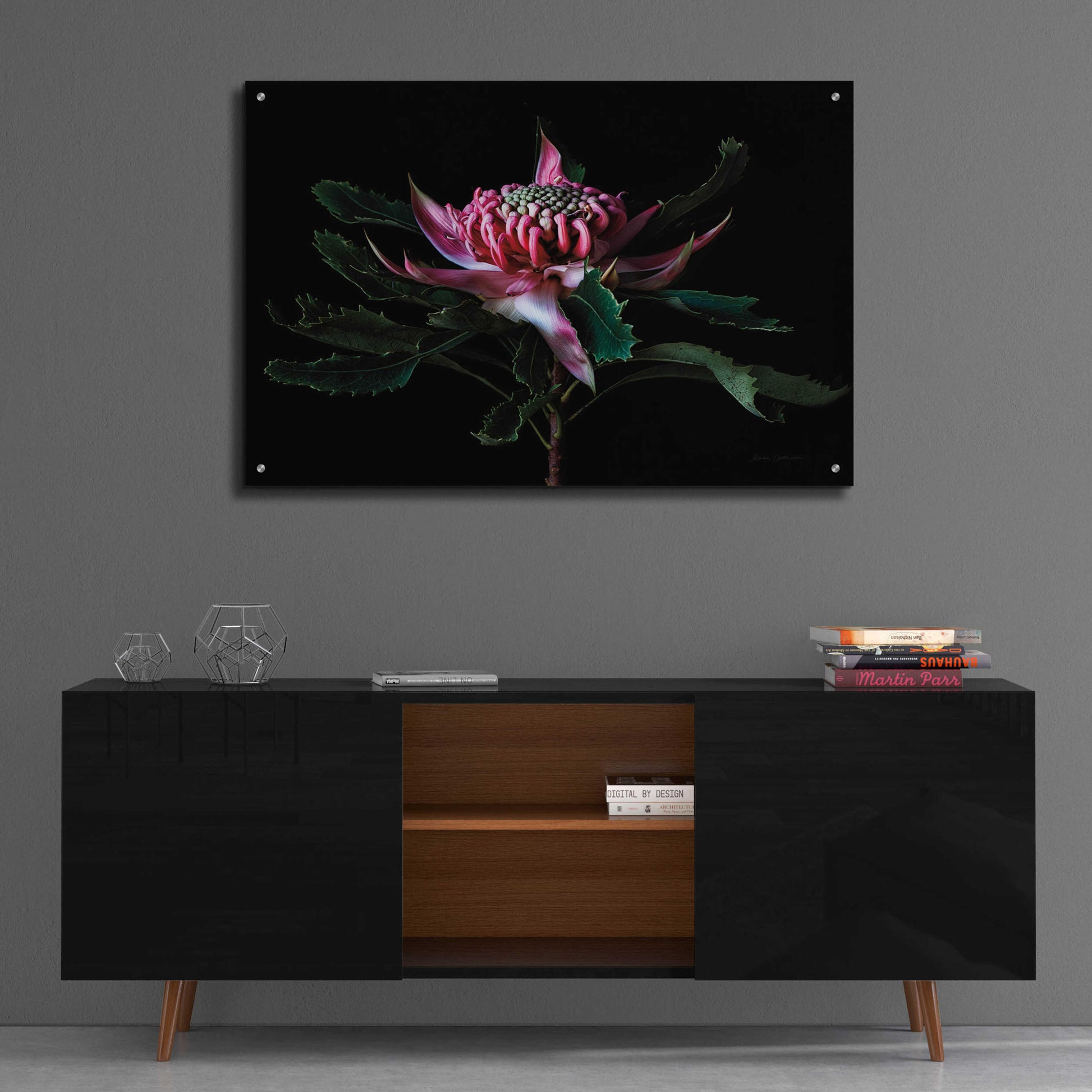 Epic Art 'Salmon Waratah I' by Elise Catterall, Acrylic Glass Wall Art,36x24