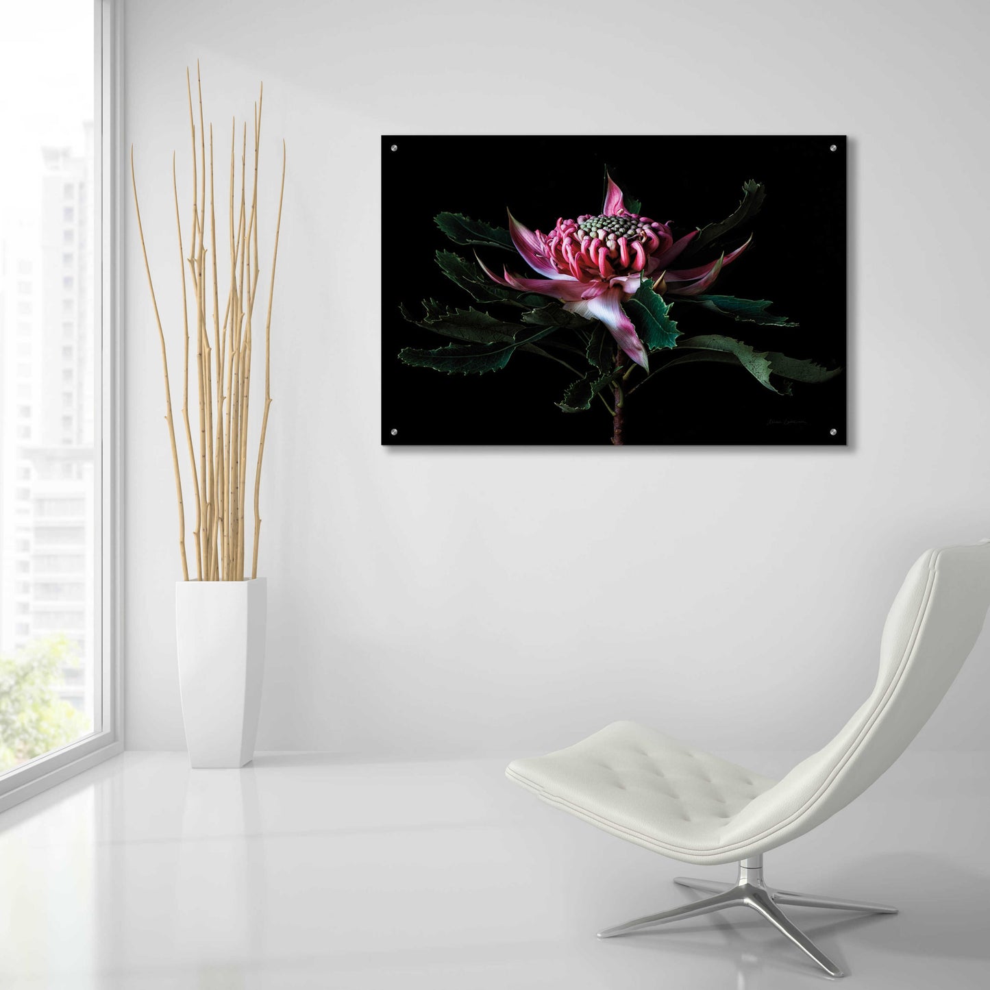 Epic Art 'Salmon Waratah I' by Elise Catterall, Acrylic Glass Wall Art,36x24