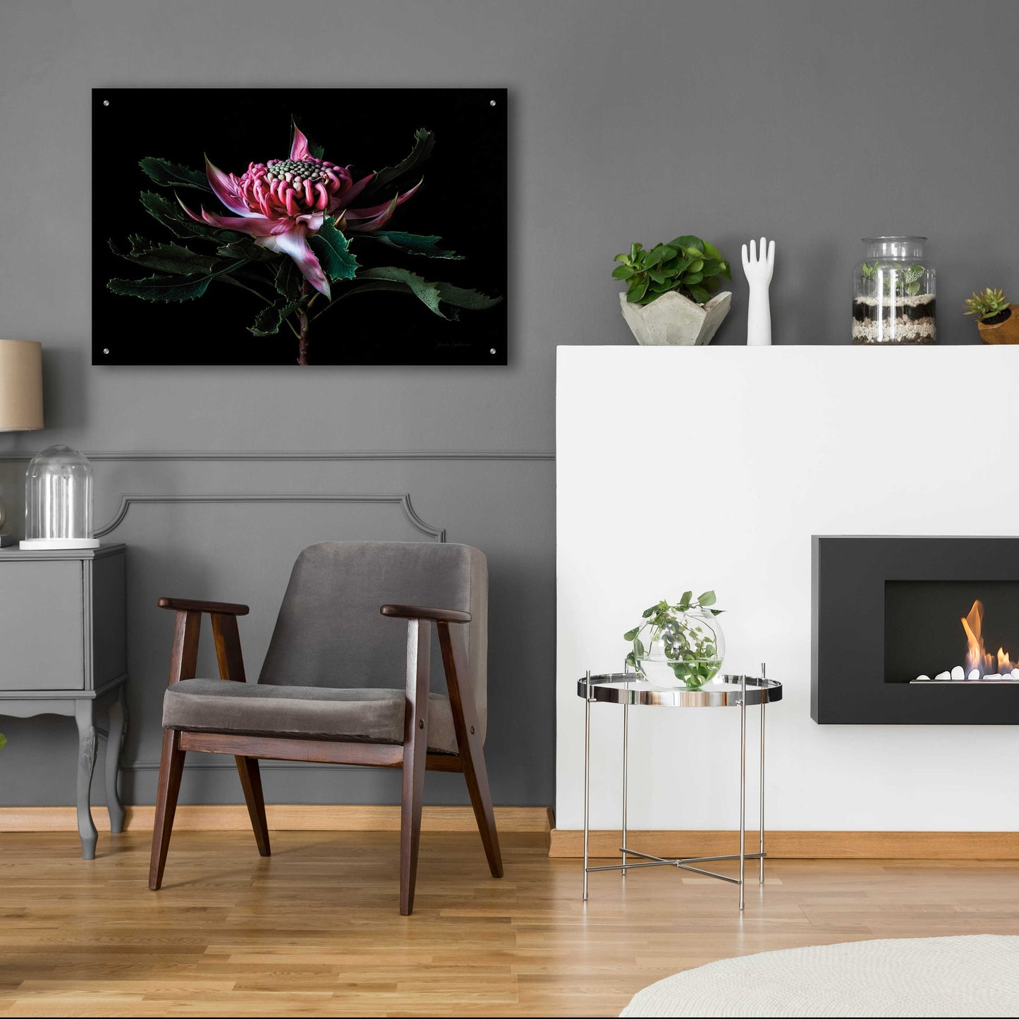 Epic Art 'Salmon Waratah I' by Elise Catterall, Acrylic Glass Wall Art,36x24