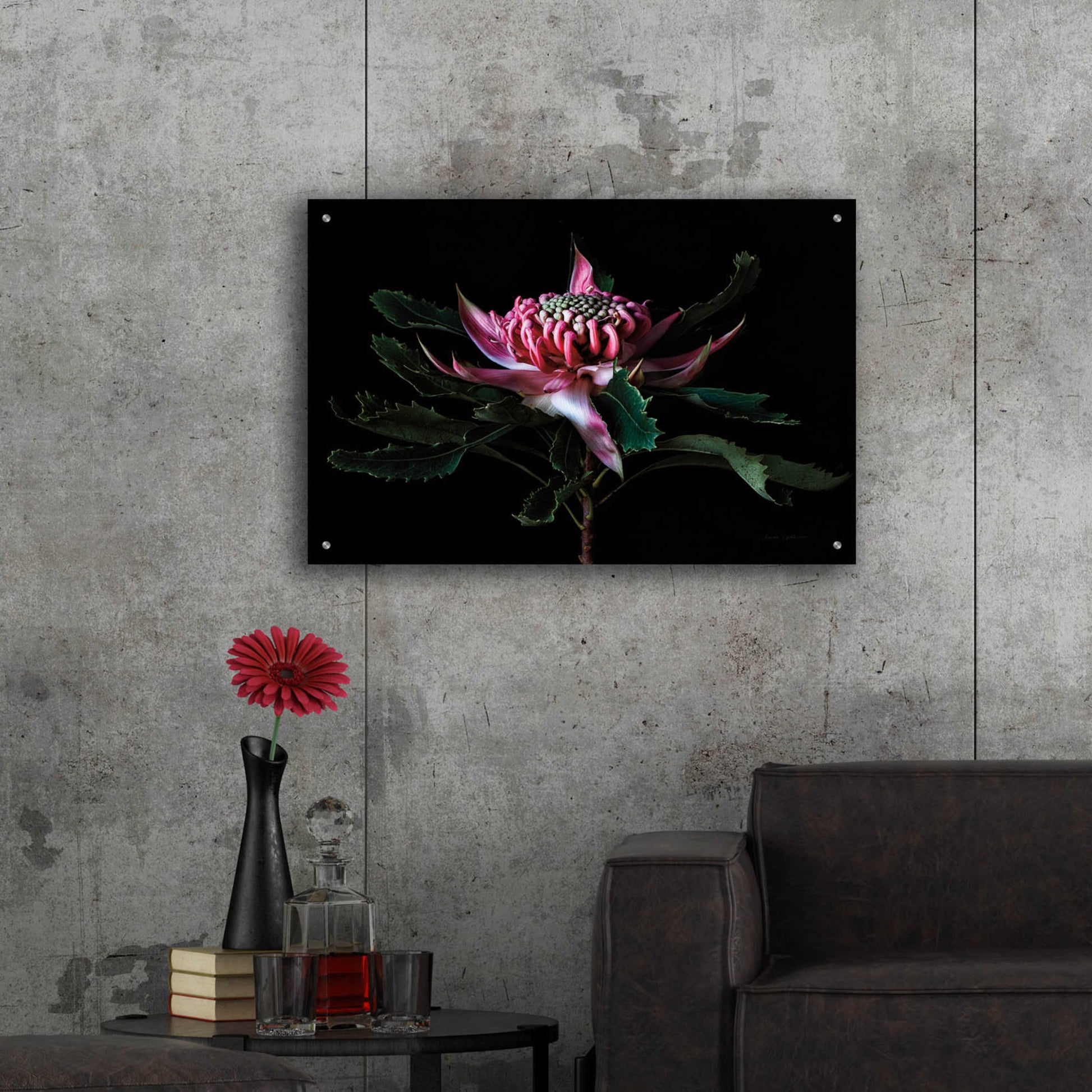 Epic Art 'Salmon Waratah I' by Elise Catterall, Acrylic Glass Wall Art,36x24