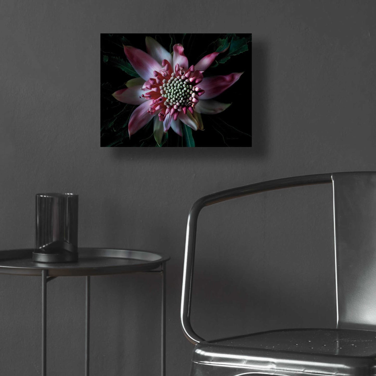 Epic Art 'Salmon Waratah II' by Elise Catterall, Acrylic Glass Wall Art,16x12