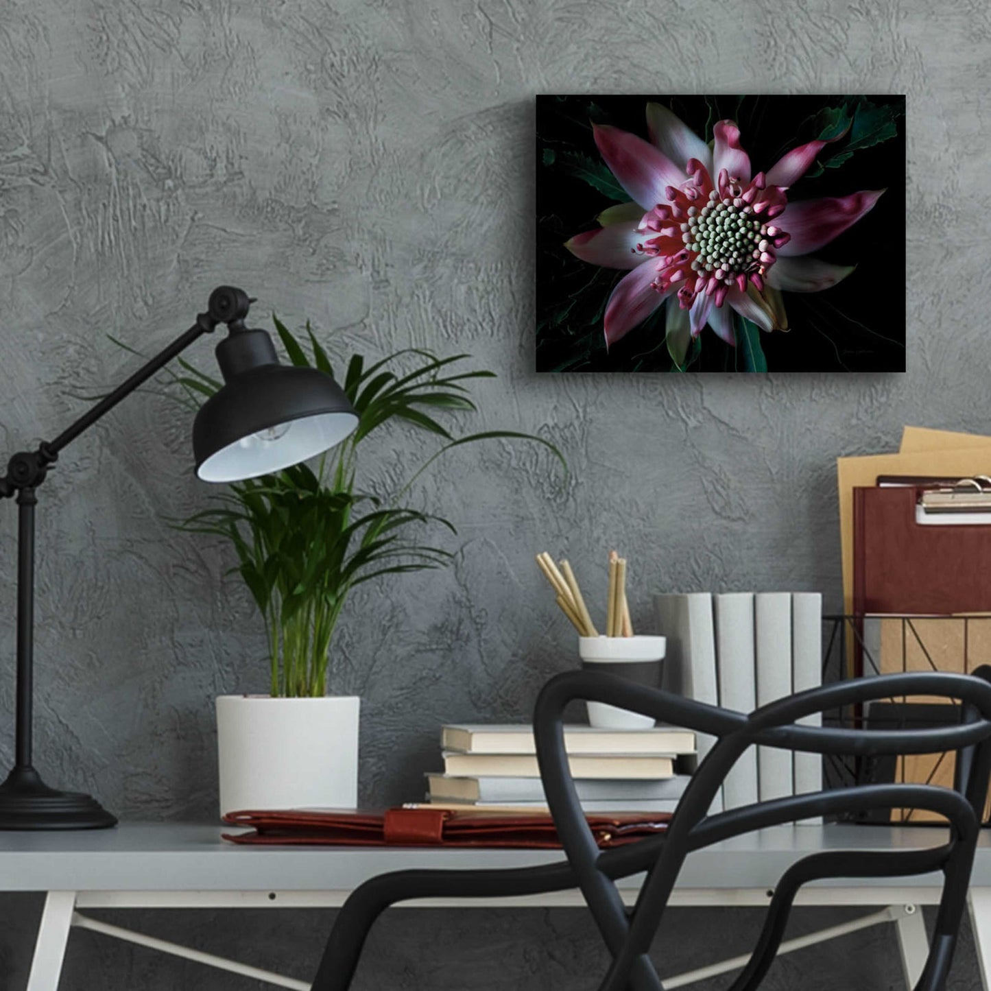 Epic Art 'Salmon Waratah II' by Elise Catterall, Acrylic Glass Wall Art,16x12