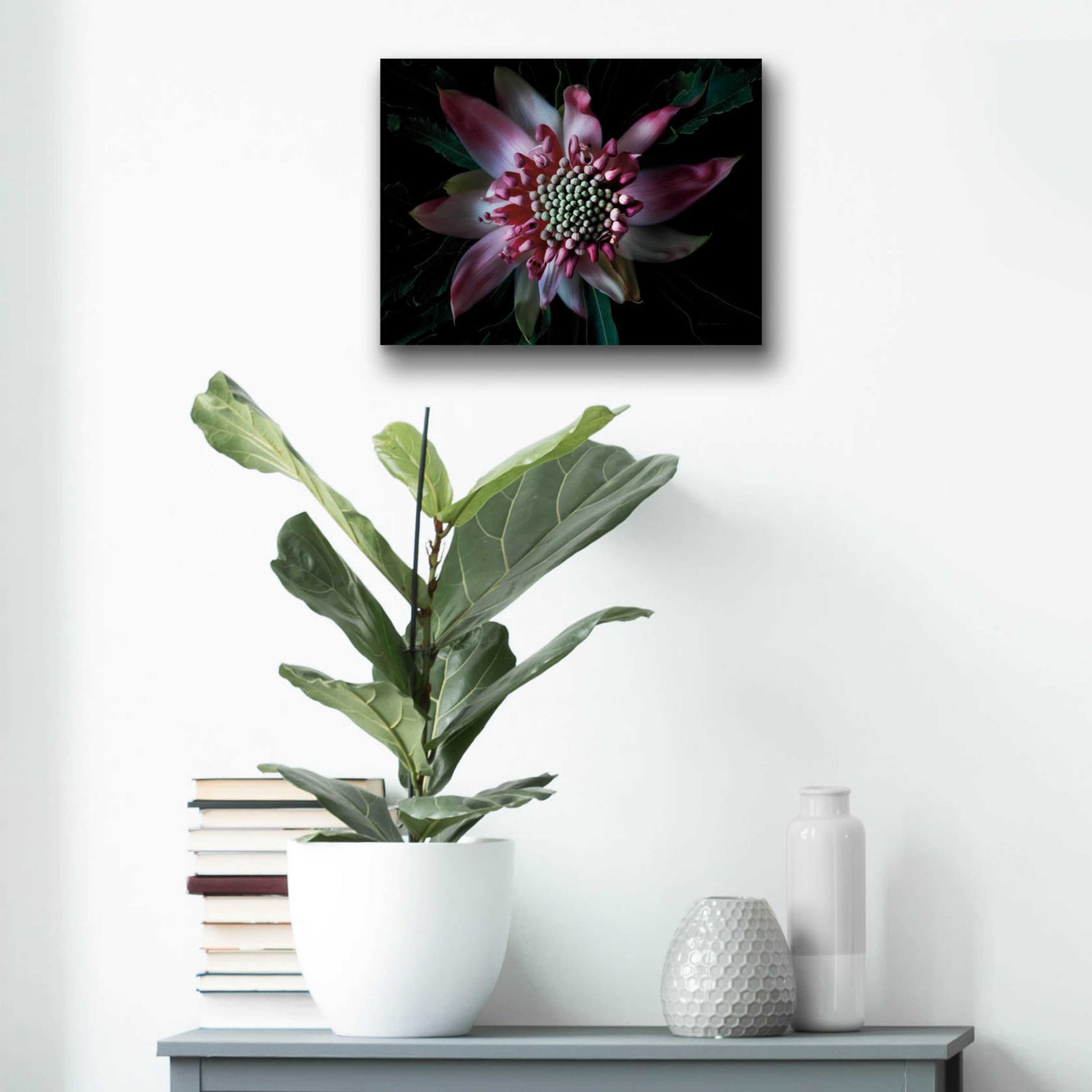 Epic Art 'Salmon Waratah II' by Elise Catterall, Acrylic Glass Wall Art,16x12