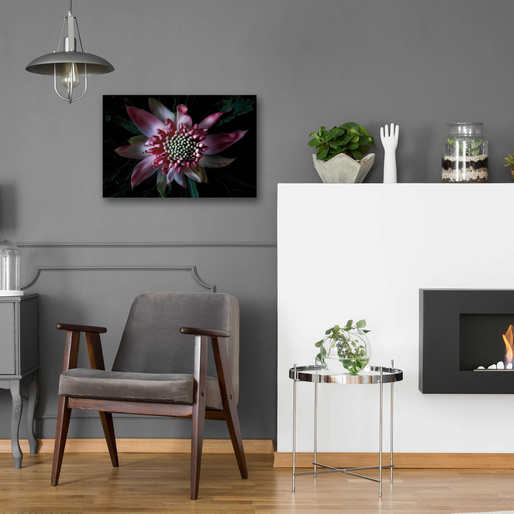 Epic Art 'Salmon Waratah II' by Elise Catterall, Acrylic Glass Wall Art,24x16