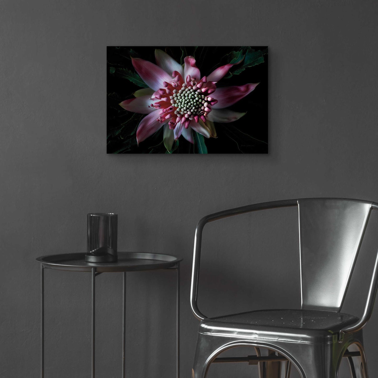 Epic Art 'Salmon Waratah II' by Elise Catterall, Acrylic Glass Wall Art,24x16