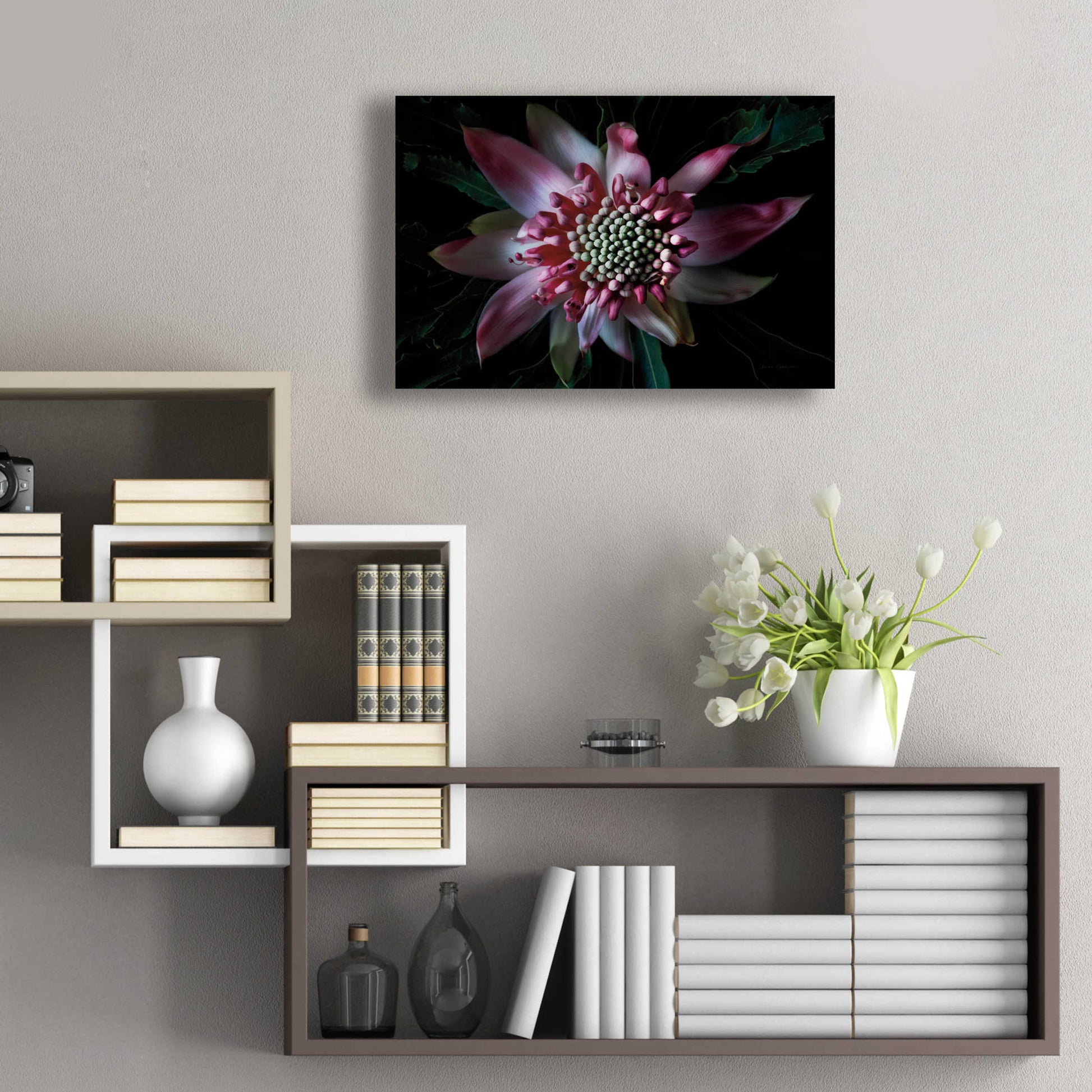 Epic Art 'Salmon Waratah II' by Elise Catterall, Acrylic Glass Wall Art,24x16