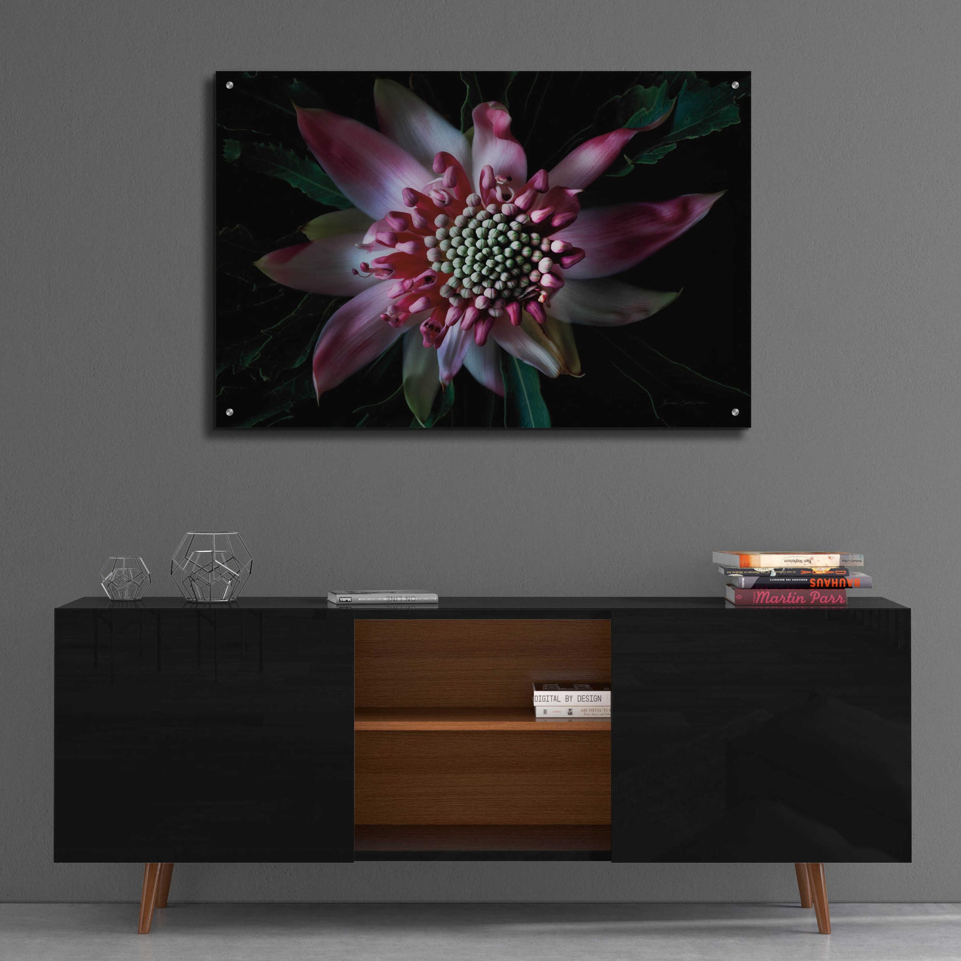 Epic Art 'Salmon Waratah II' by Elise Catterall, Acrylic Glass Wall Art,36x24