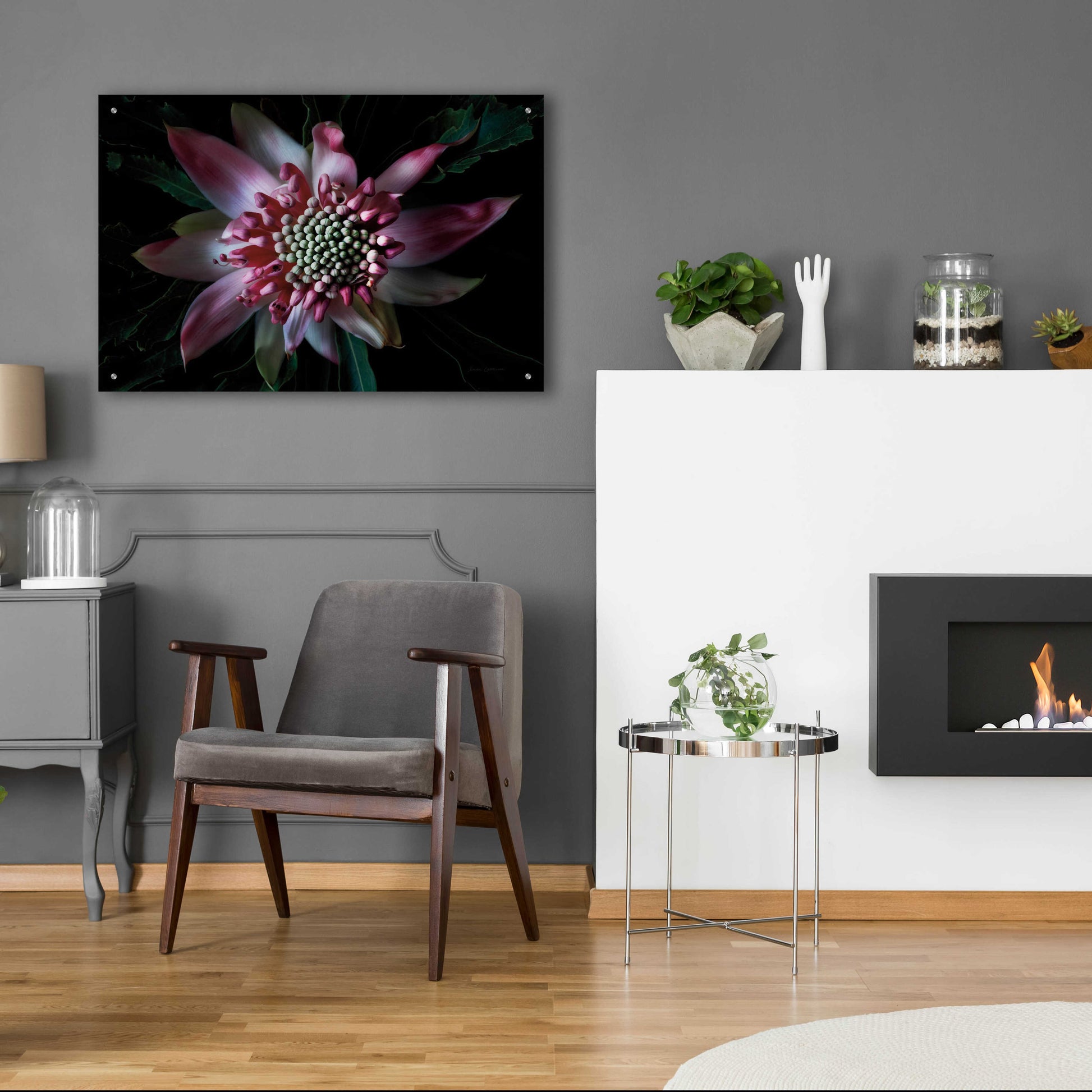 Epic Art 'Salmon Waratah II' by Elise Catterall, Acrylic Glass Wall Art,36x24