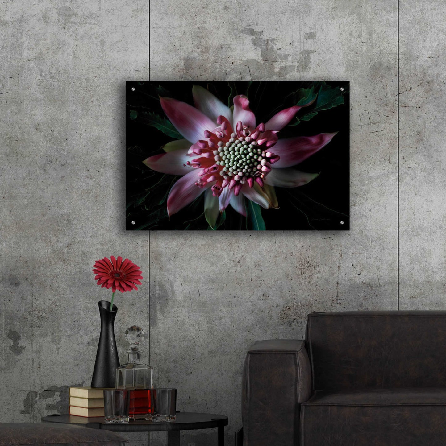 Epic Art 'Salmon Waratah II' by Elise Catterall, Acrylic Glass Wall Art,36x24