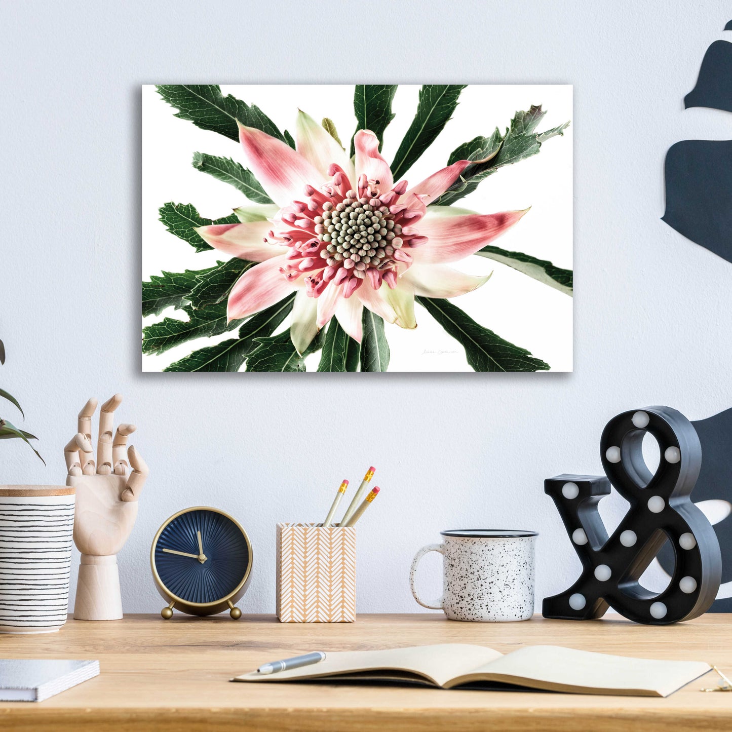 Epic Art 'Salmon Waratah III' by Elise Catterall, Acrylic Glass Wall Art,16x12