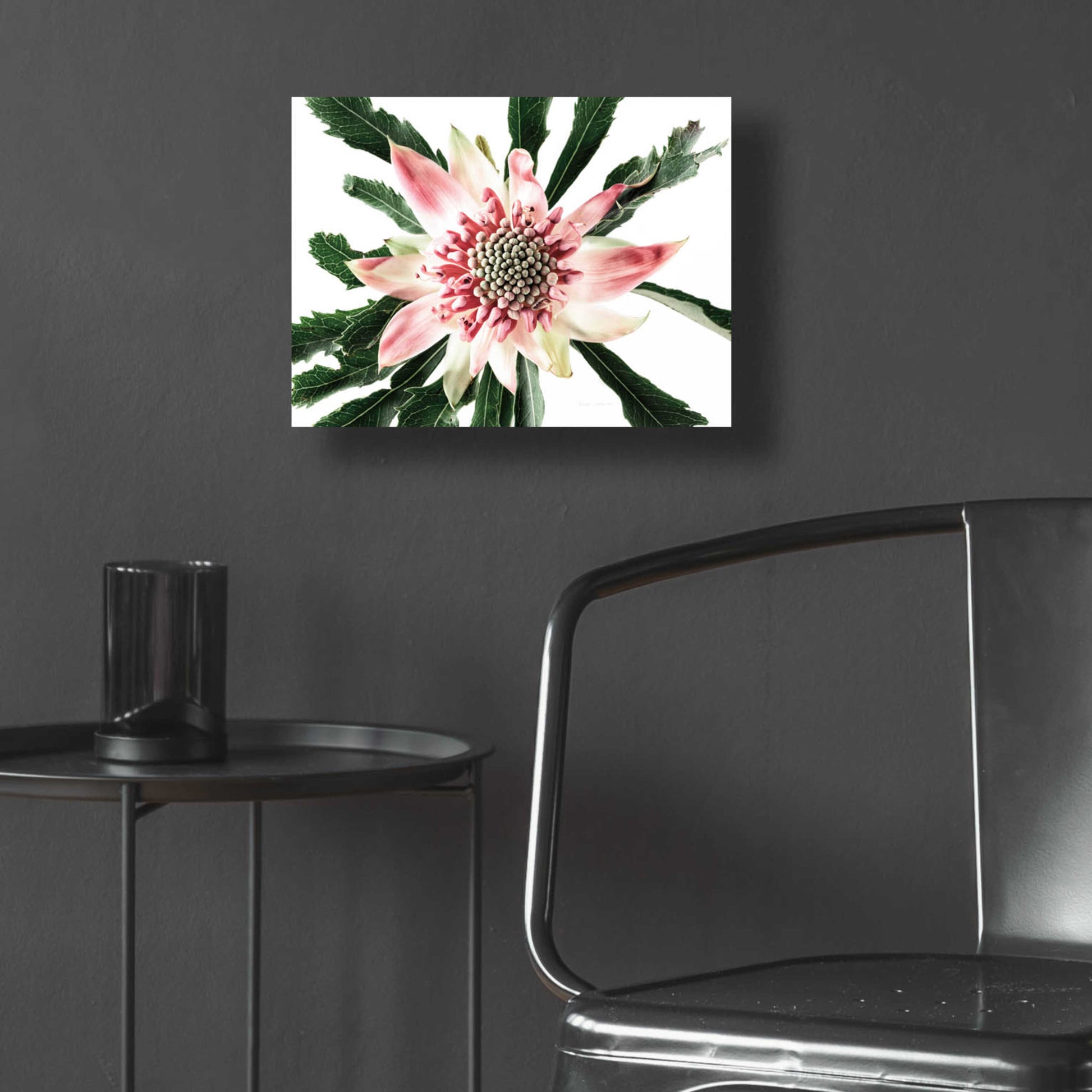 Epic Art 'Salmon Waratah III' by Elise Catterall, Acrylic Glass Wall Art,16x12