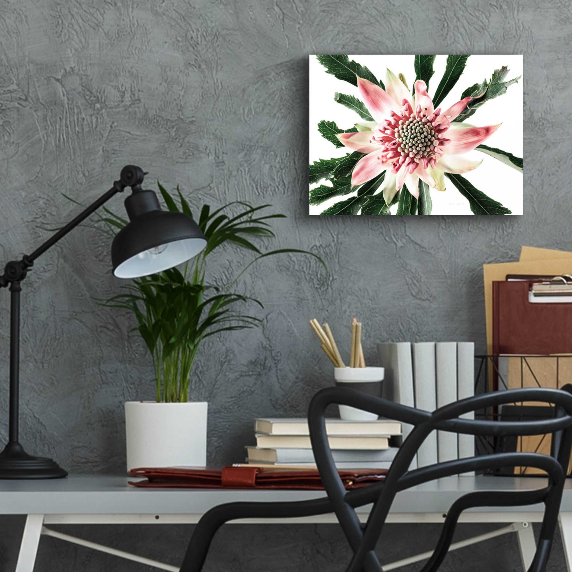 Epic Art 'Salmon Waratah III' by Elise Catterall, Acrylic Glass Wall Art,16x12