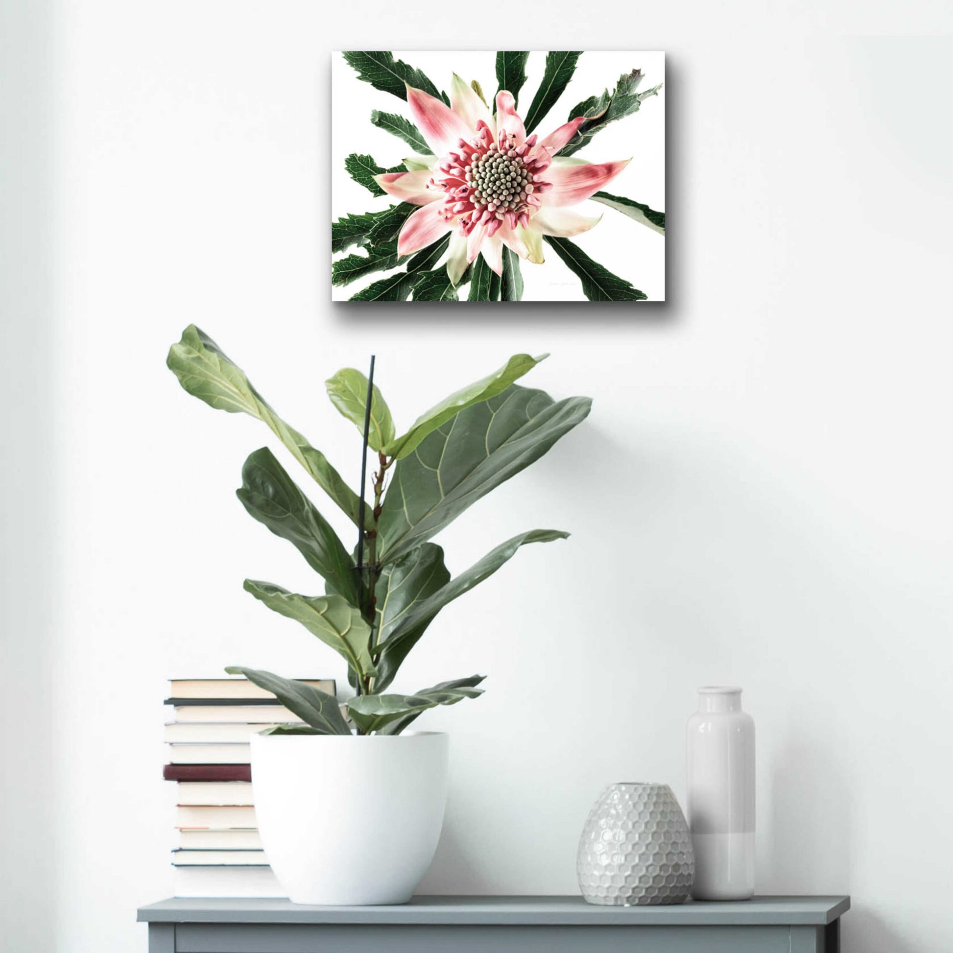 Epic Art 'Salmon Waratah III' by Elise Catterall, Acrylic Glass Wall Art,16x12