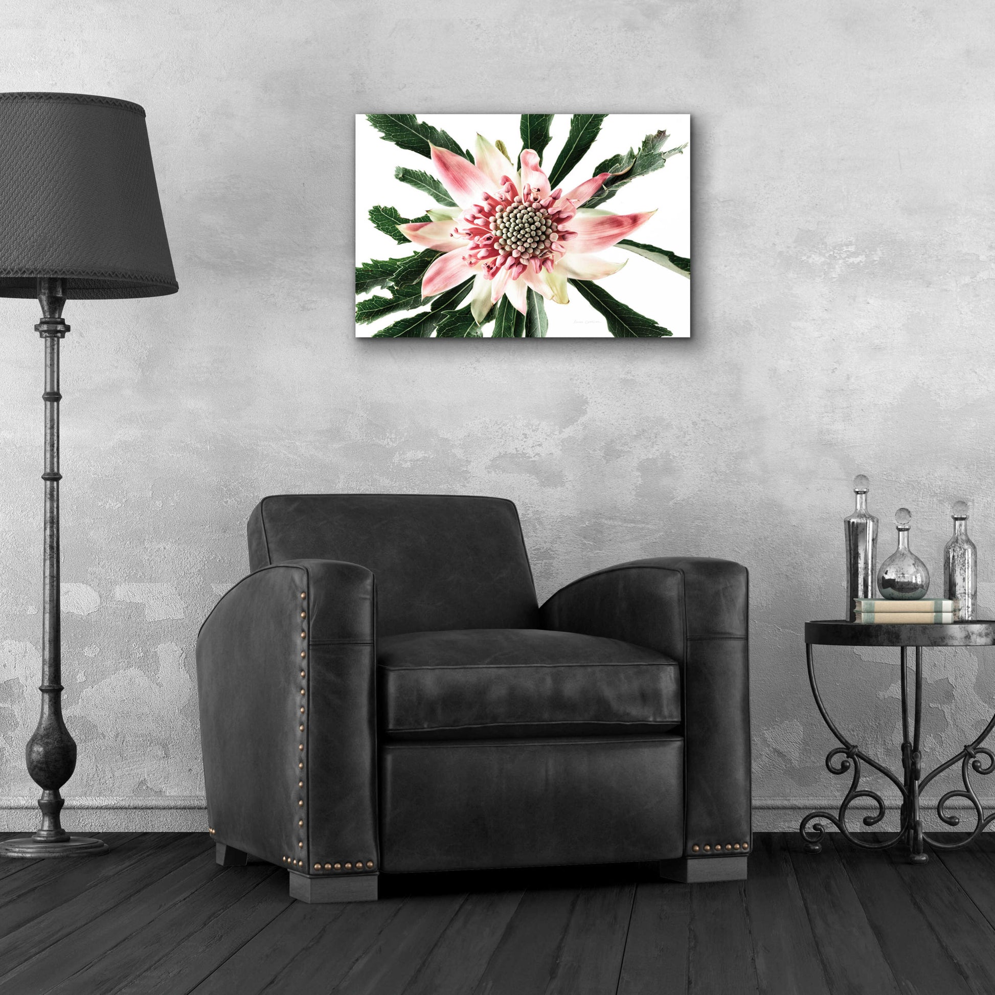 Epic Art 'Salmon Waratah III' by Elise Catterall, Acrylic Glass Wall Art,24x16